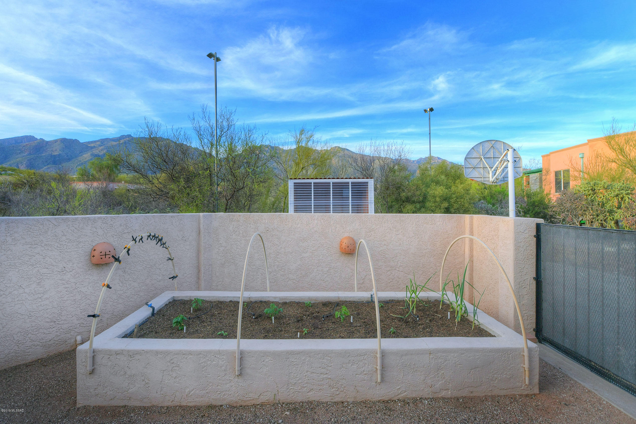 6239 E Placita Aurelia