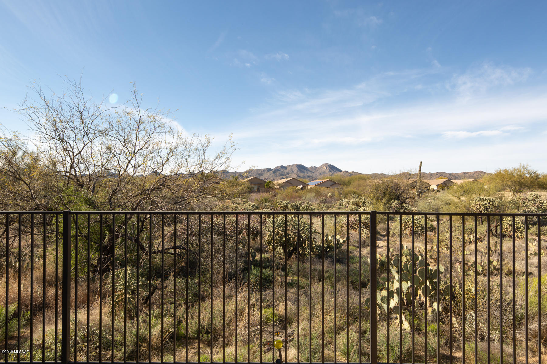 13363 N Cottontop Court