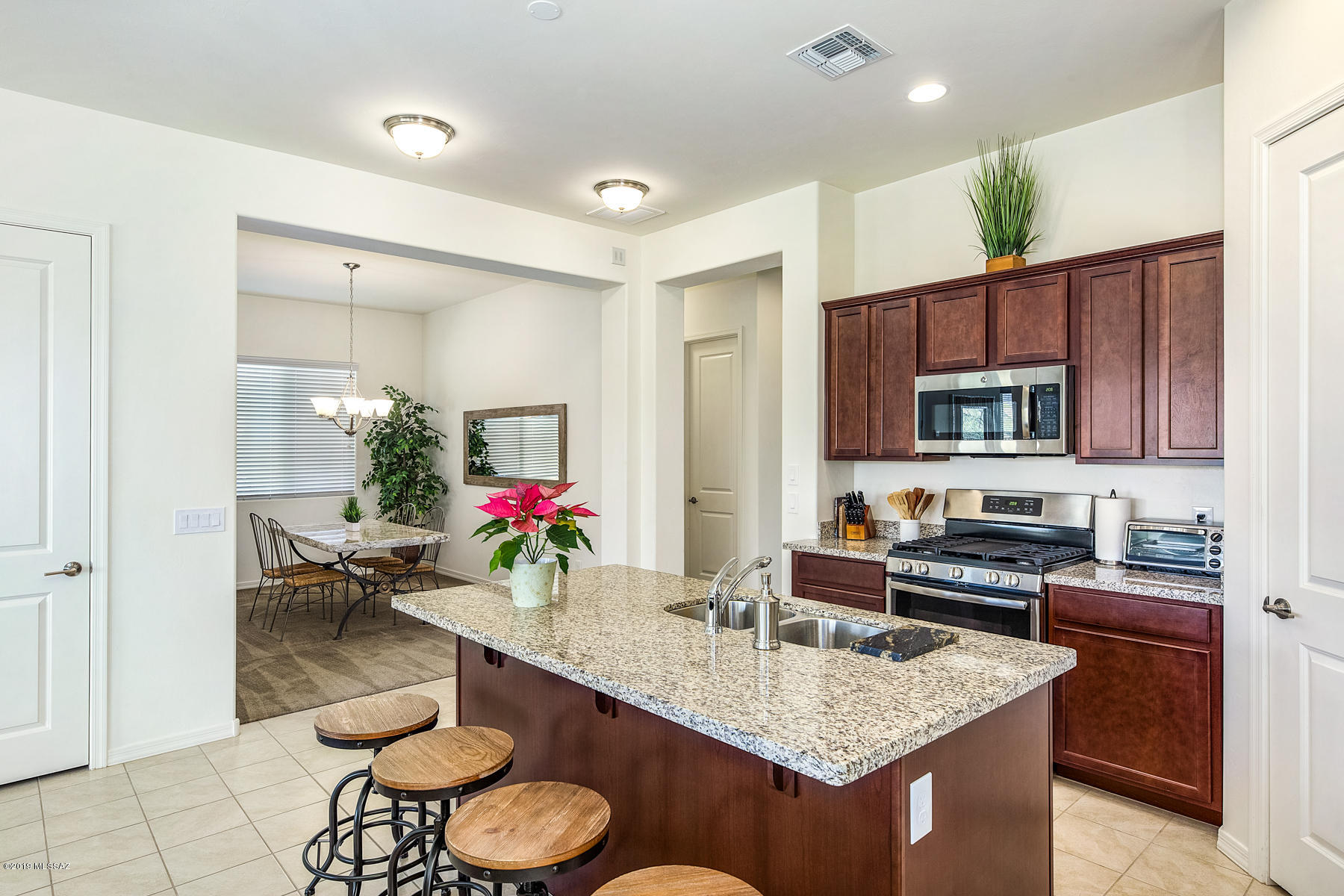 13363 N Cottontop Court