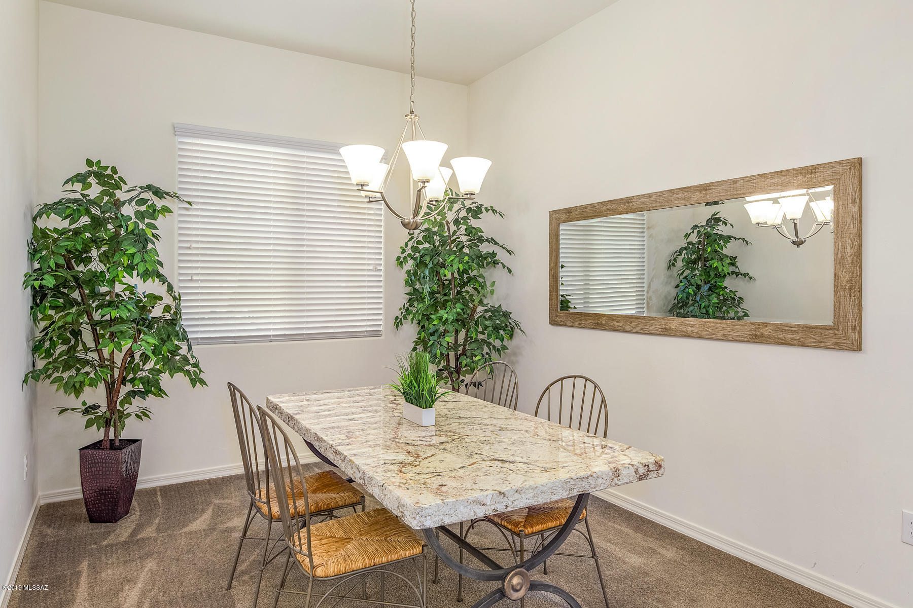 13363 N Cottontop Court