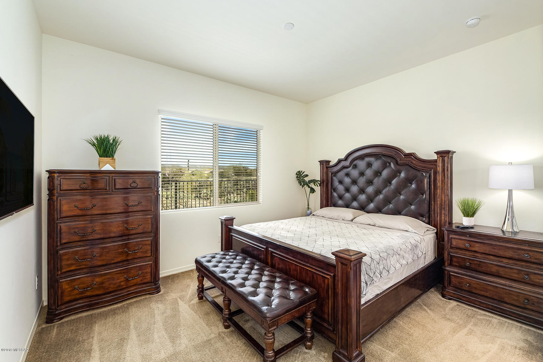 13363 N Cottontop Court