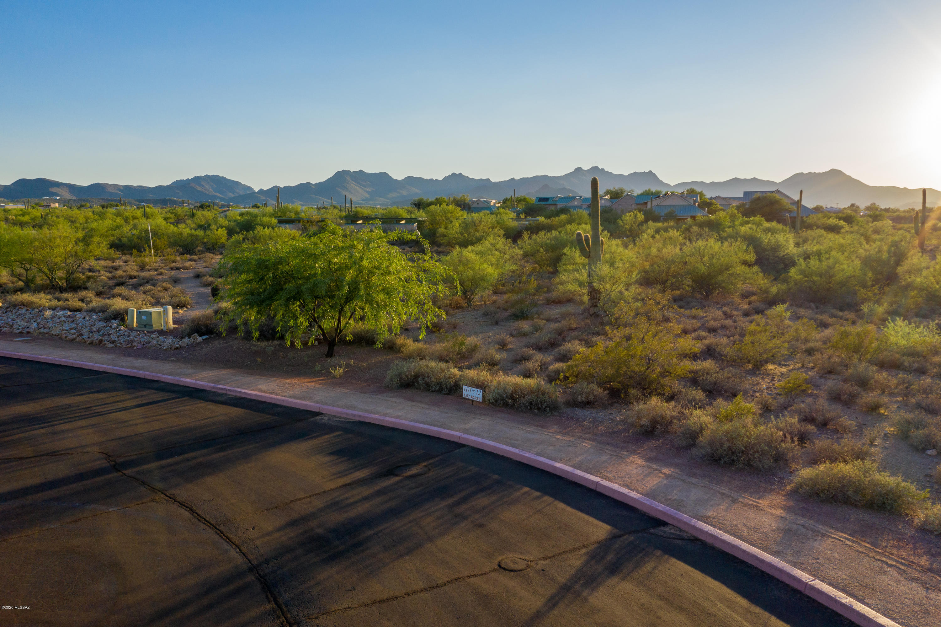 2869 W Black Cloud Court Unit: 12