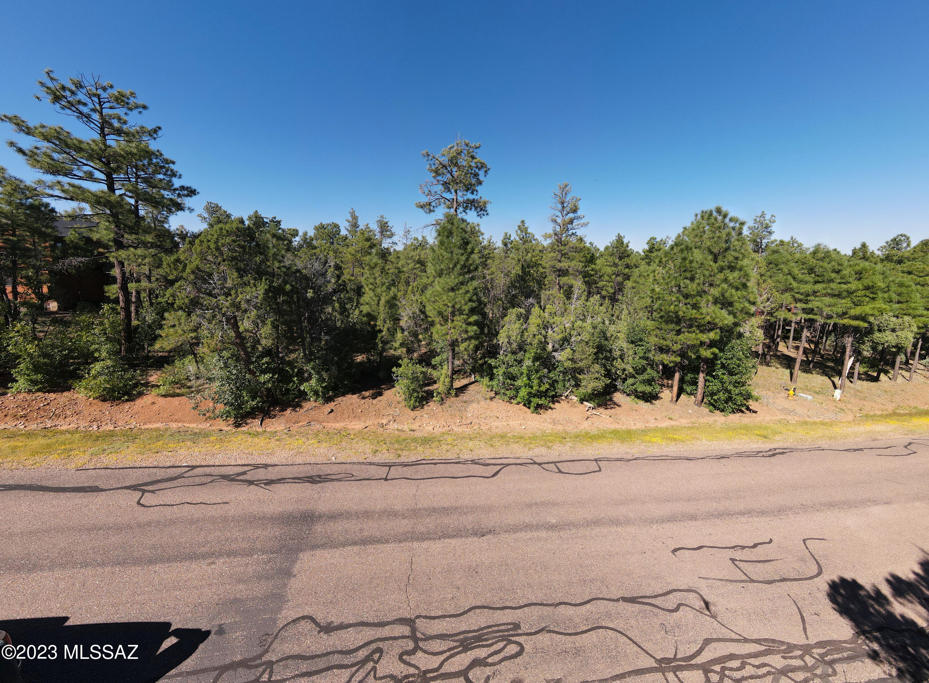 2441 S Monkshood Road
