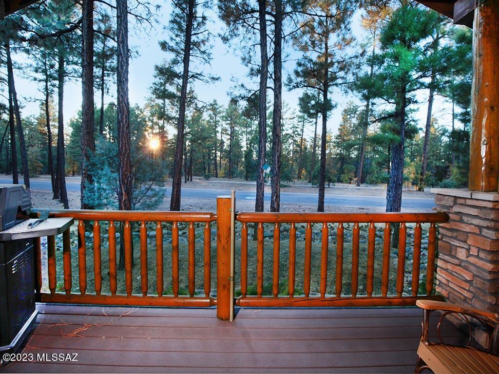 520 S Spirea Lane