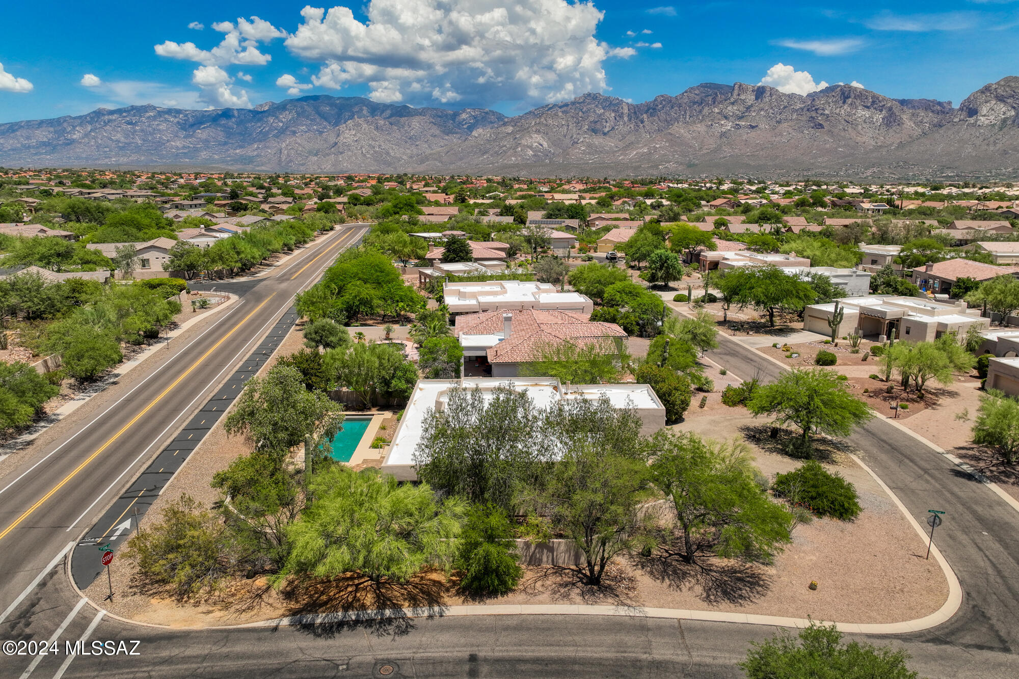1686 W Silver Berry Place