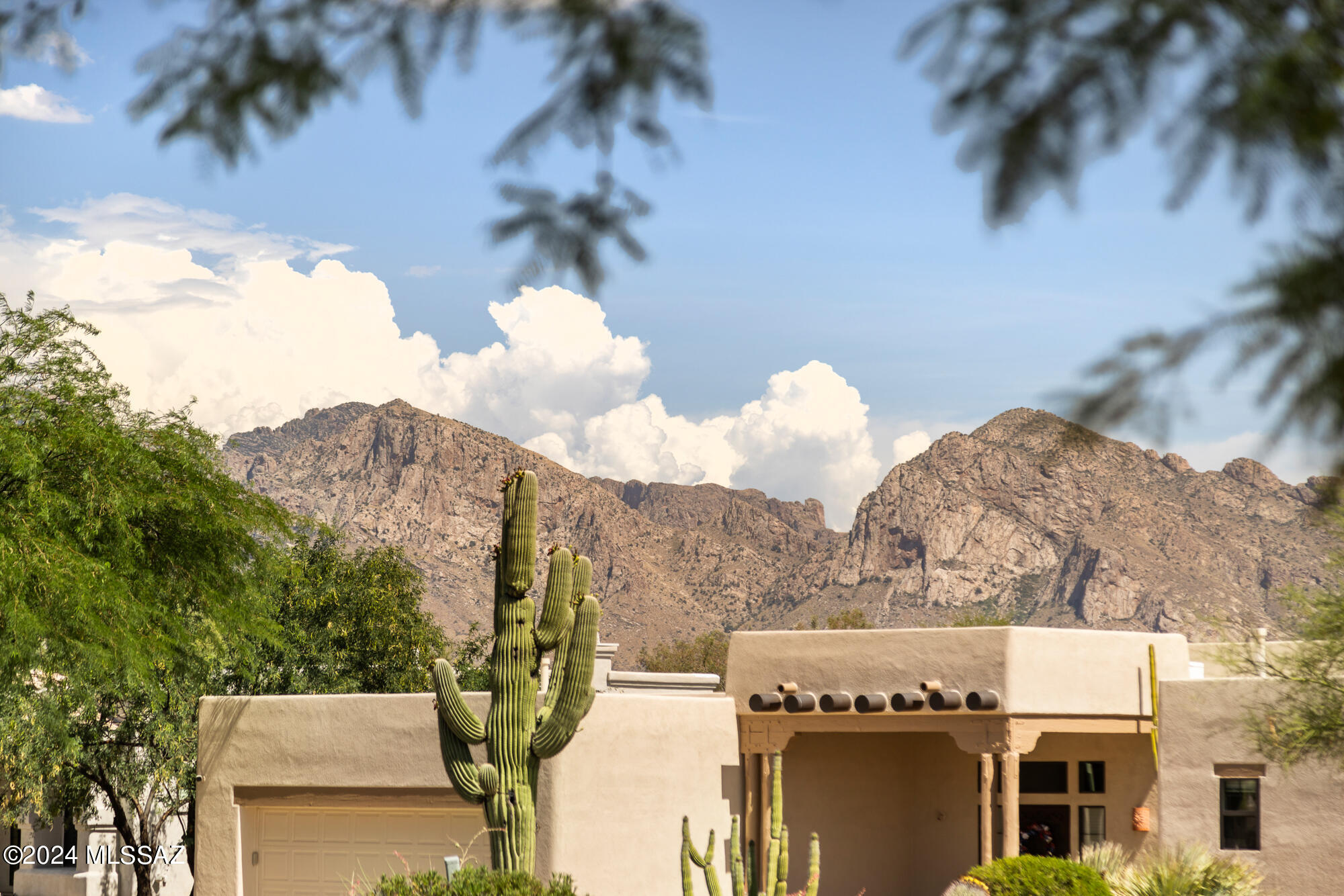 1686 W Silver Berry Place