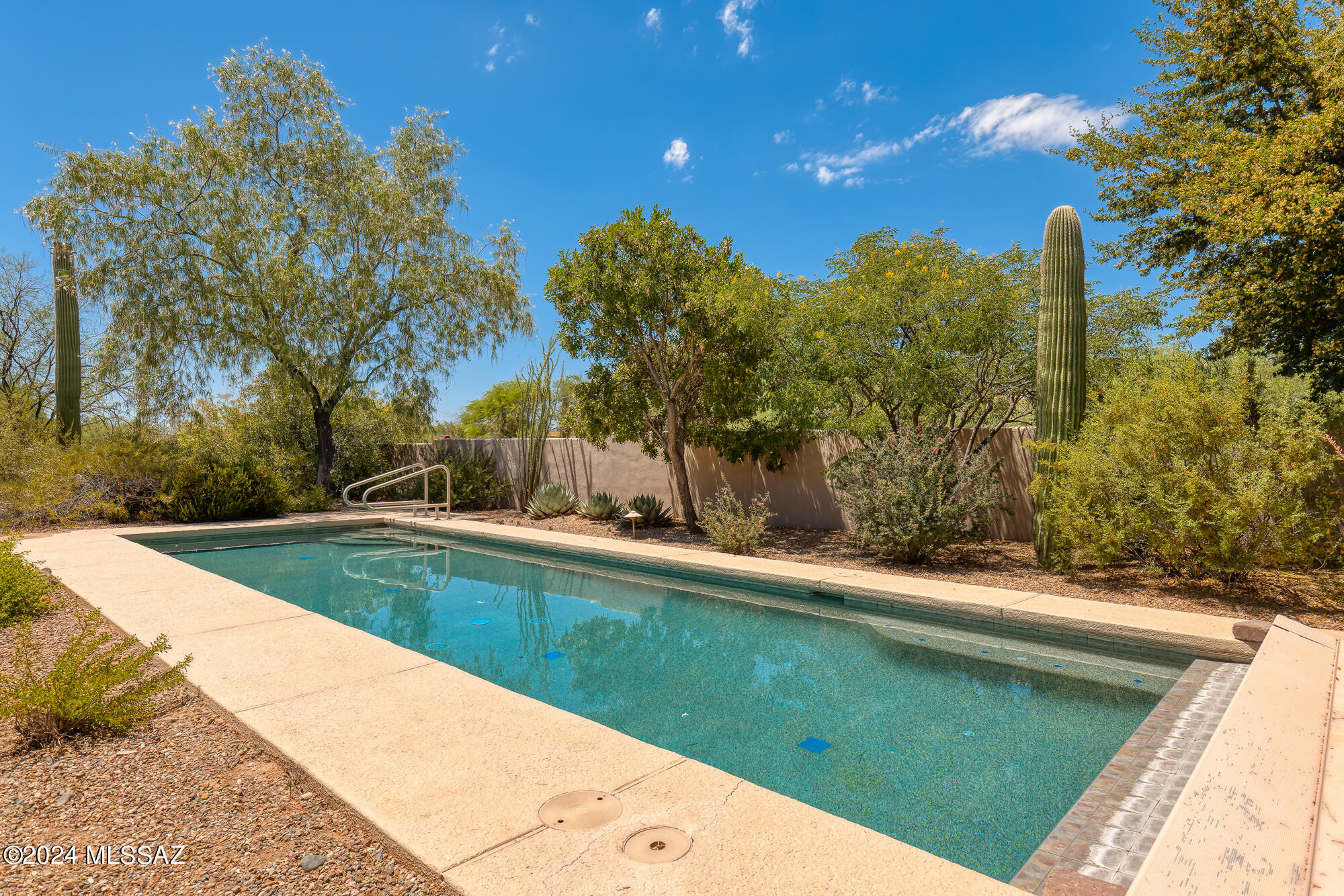 1686 W Silver Berry Place