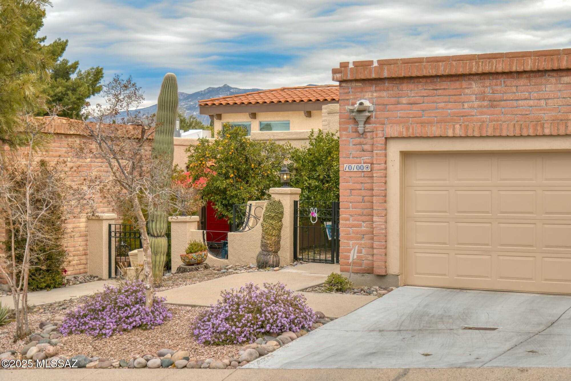10100 N Spyglass Place