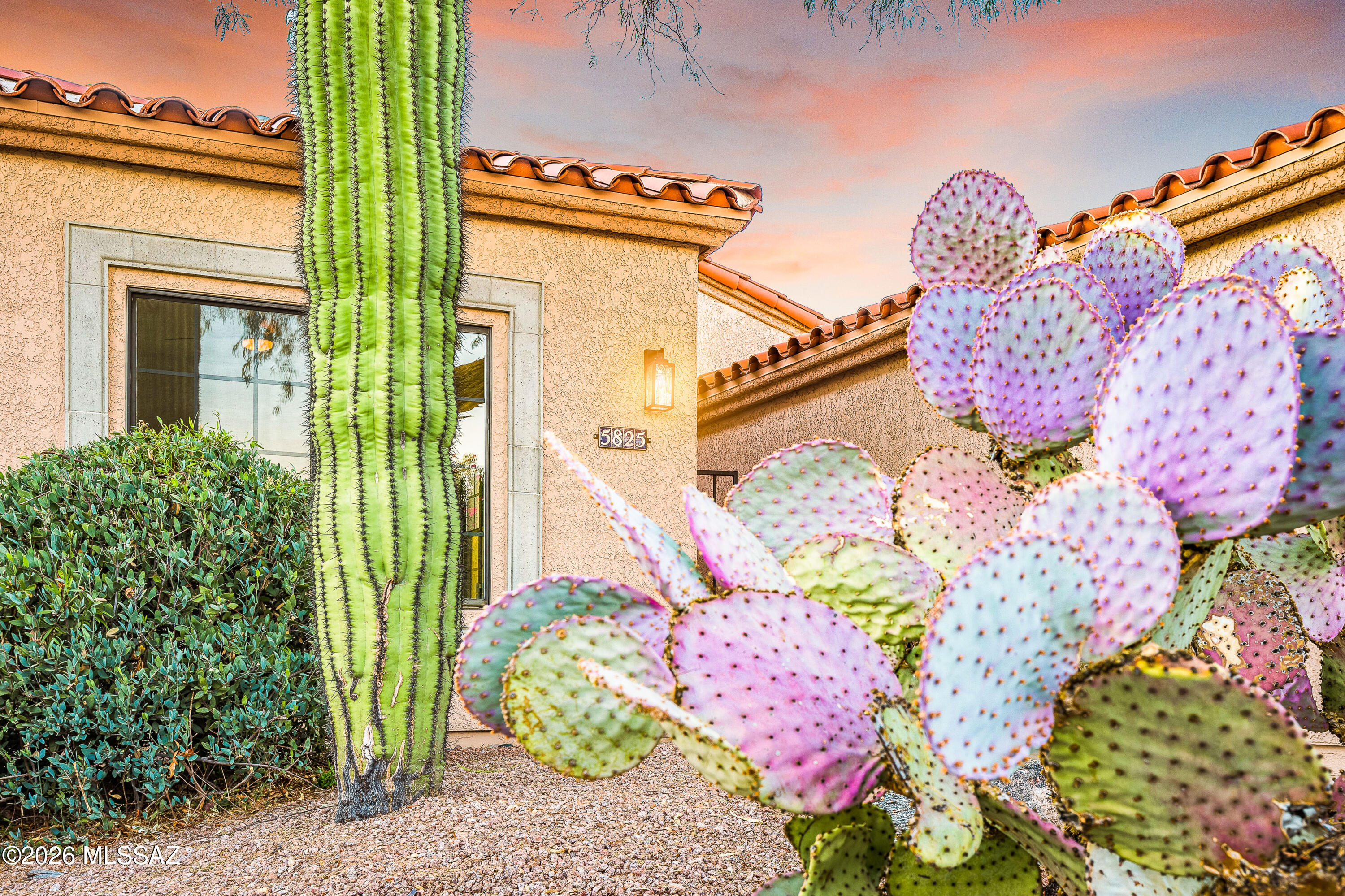 5825 N Misty Ridge Drive