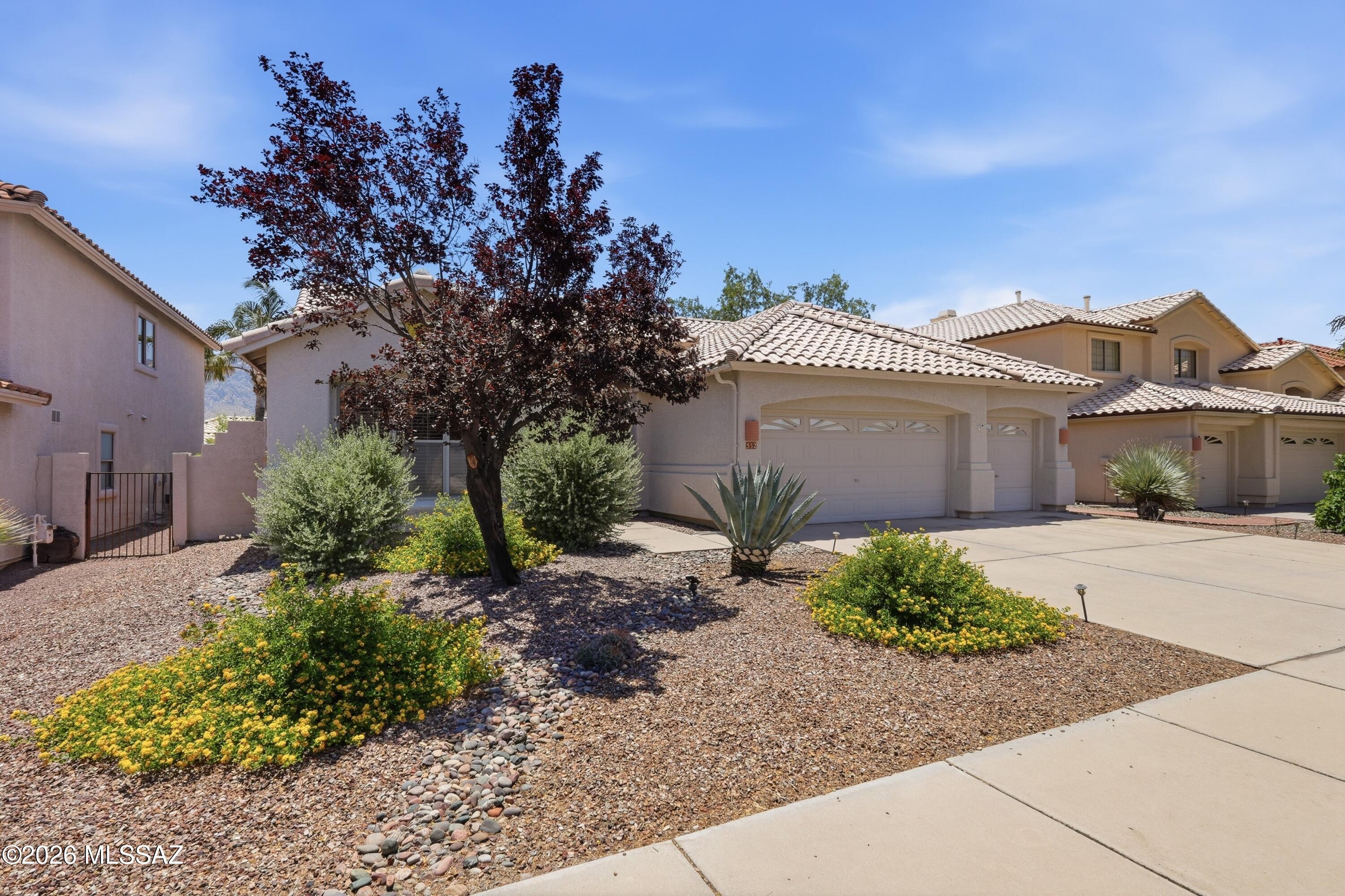 532 E Marshall Peak Drive