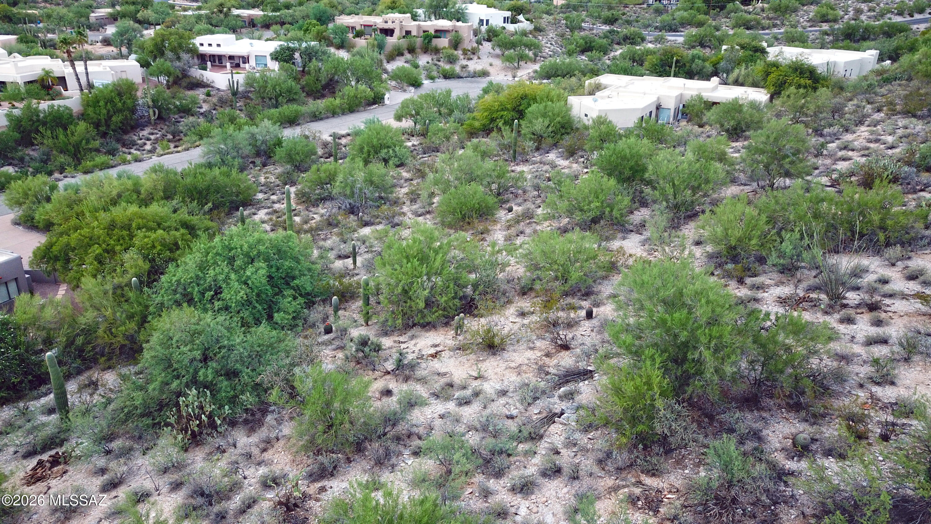 7076 N Corte Del Anuncio 29