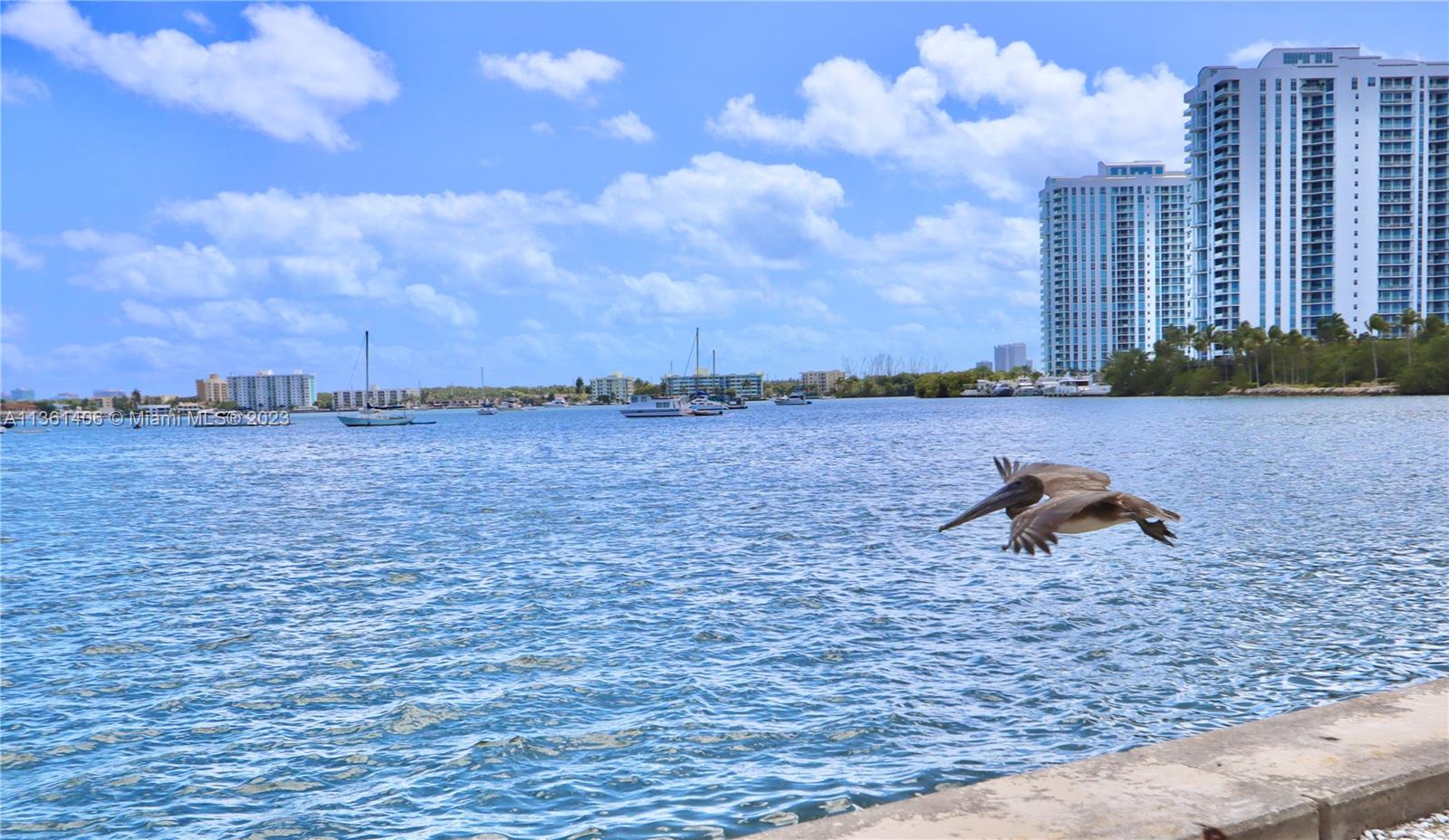 2910 Point East Dr Unit: M204