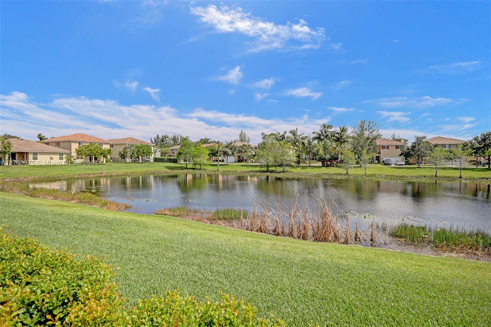 4812 Foxtail Palm Ct