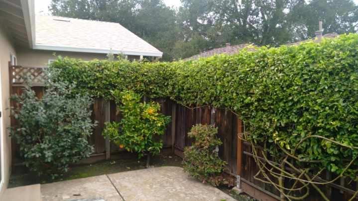 371/373 Flora Vista AVE