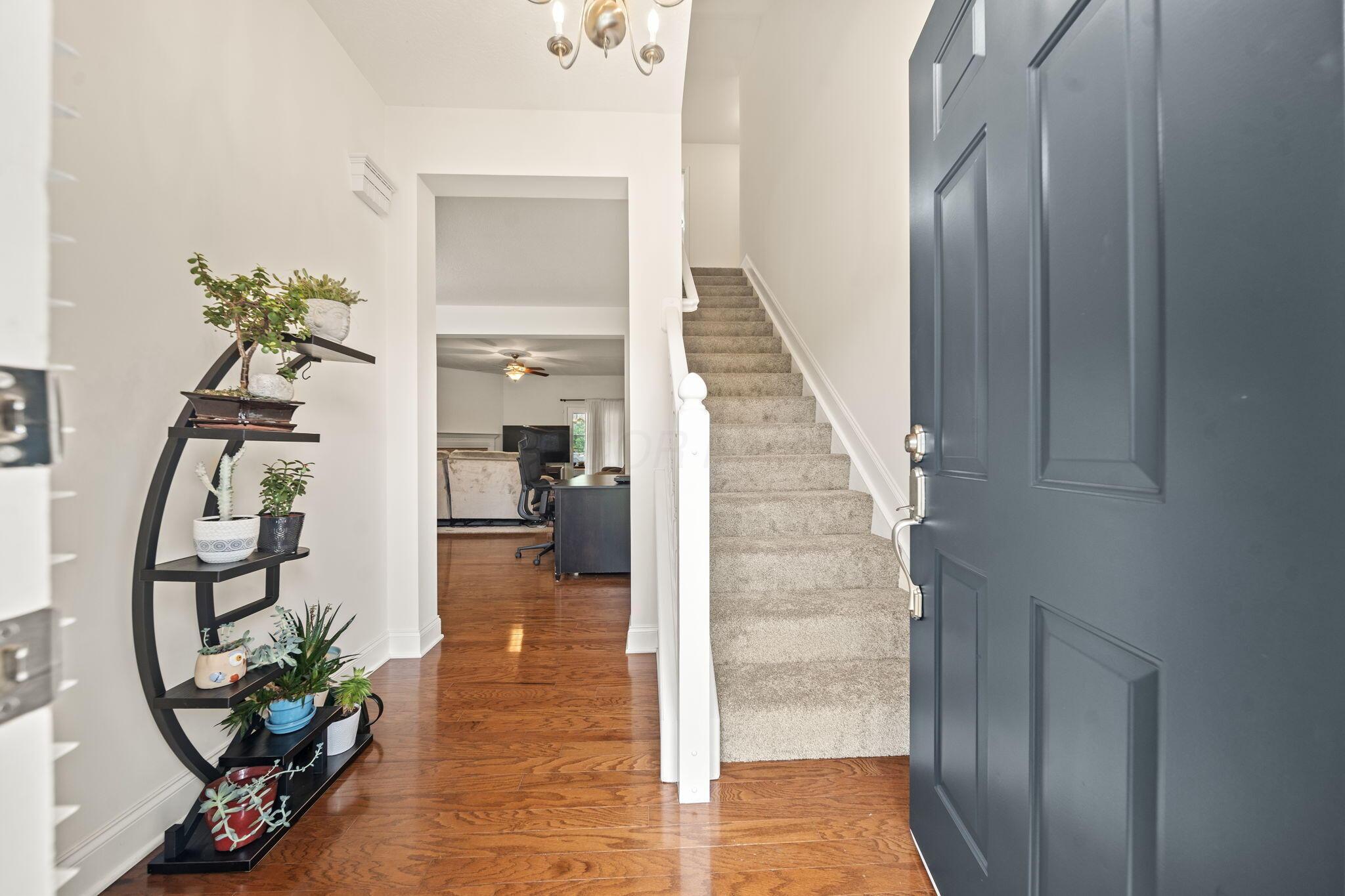 2989 Tree Bend Circle