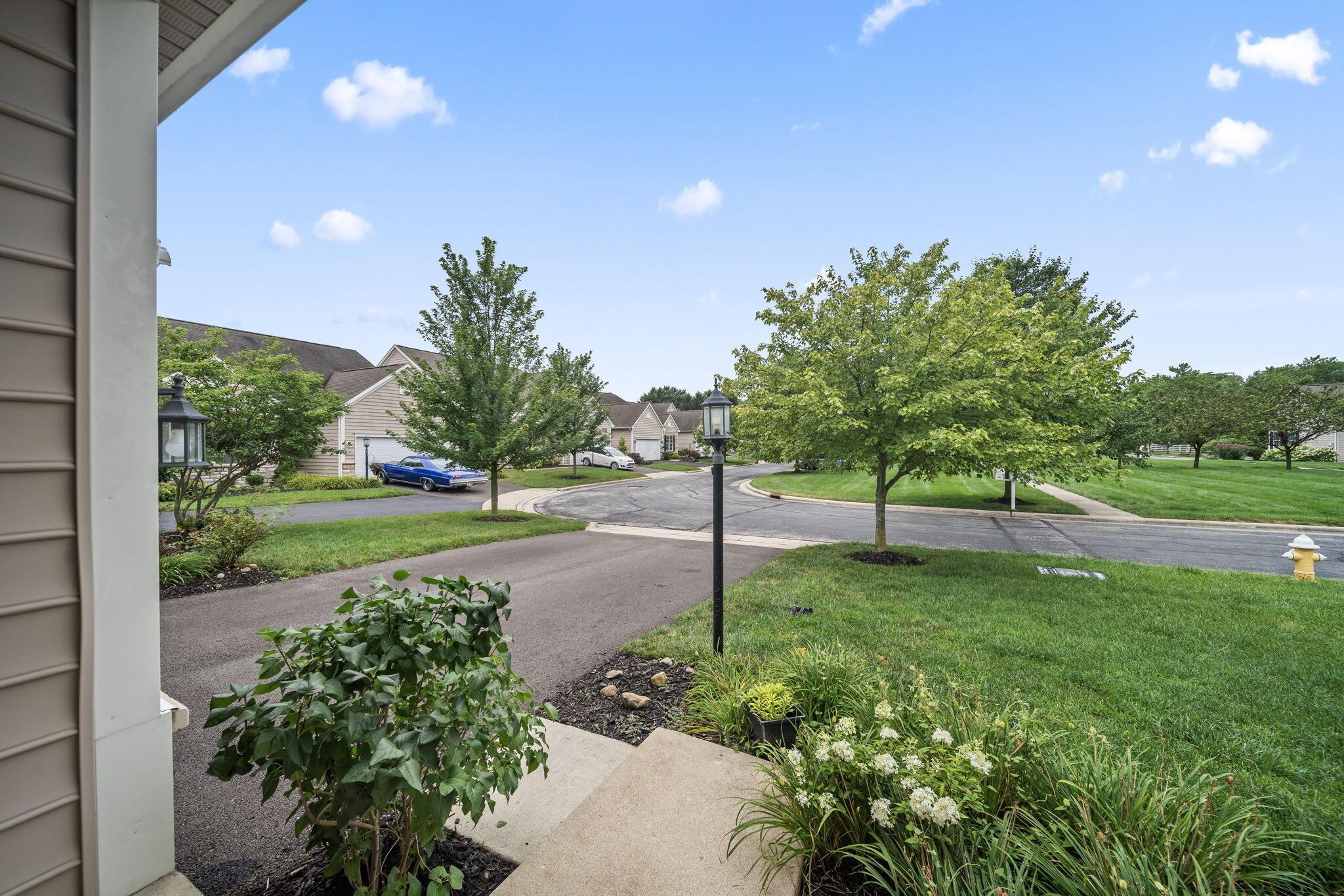 2989 Tree Bend Circle