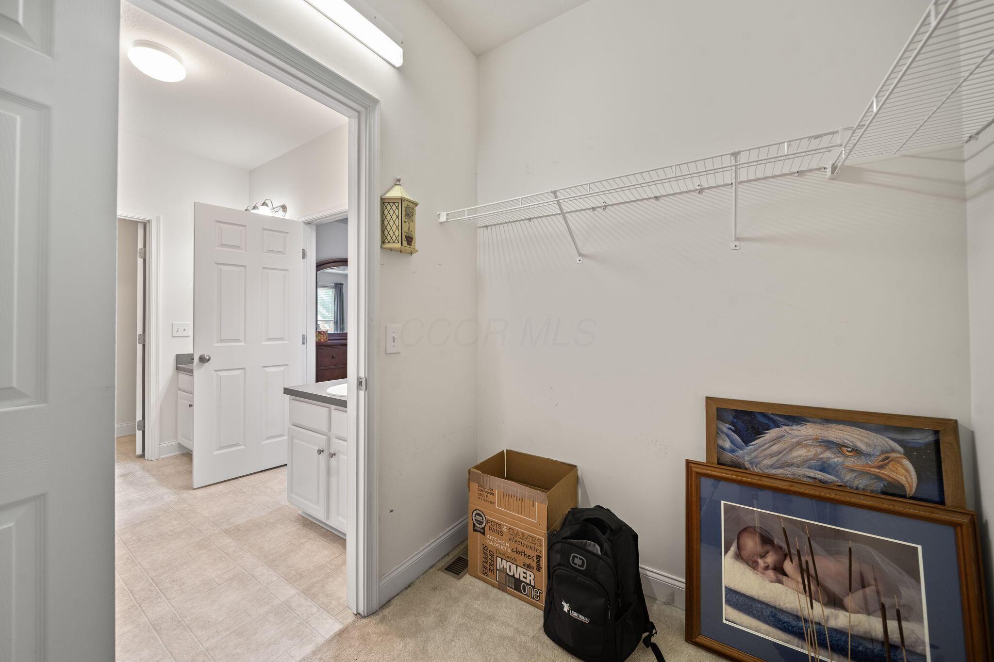 2989 Tree Bend Circle