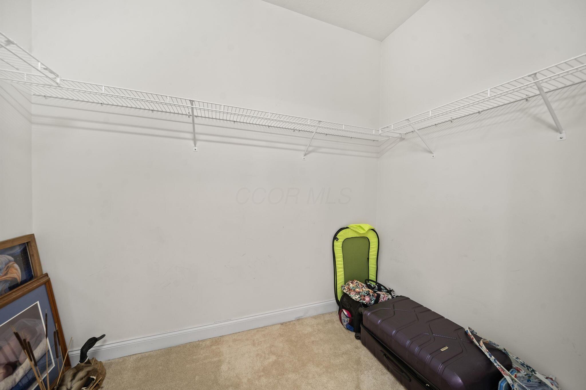 2989 Tree Bend Circle