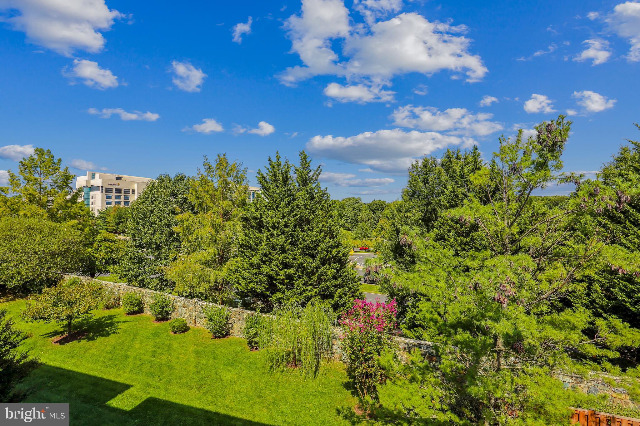 110 CHEVY CHASE STREET Unit: 301