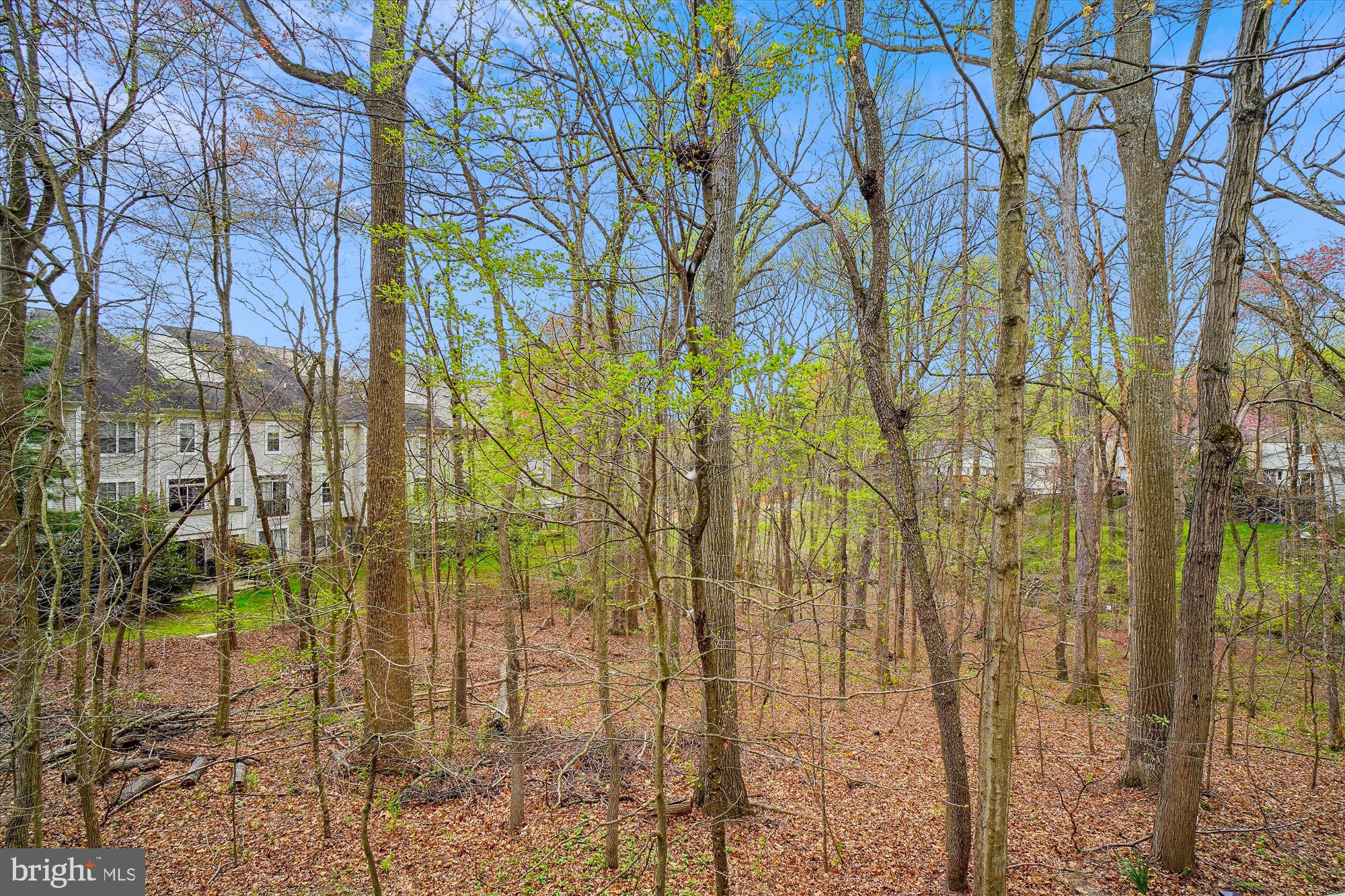 19730 Crested Iris Way