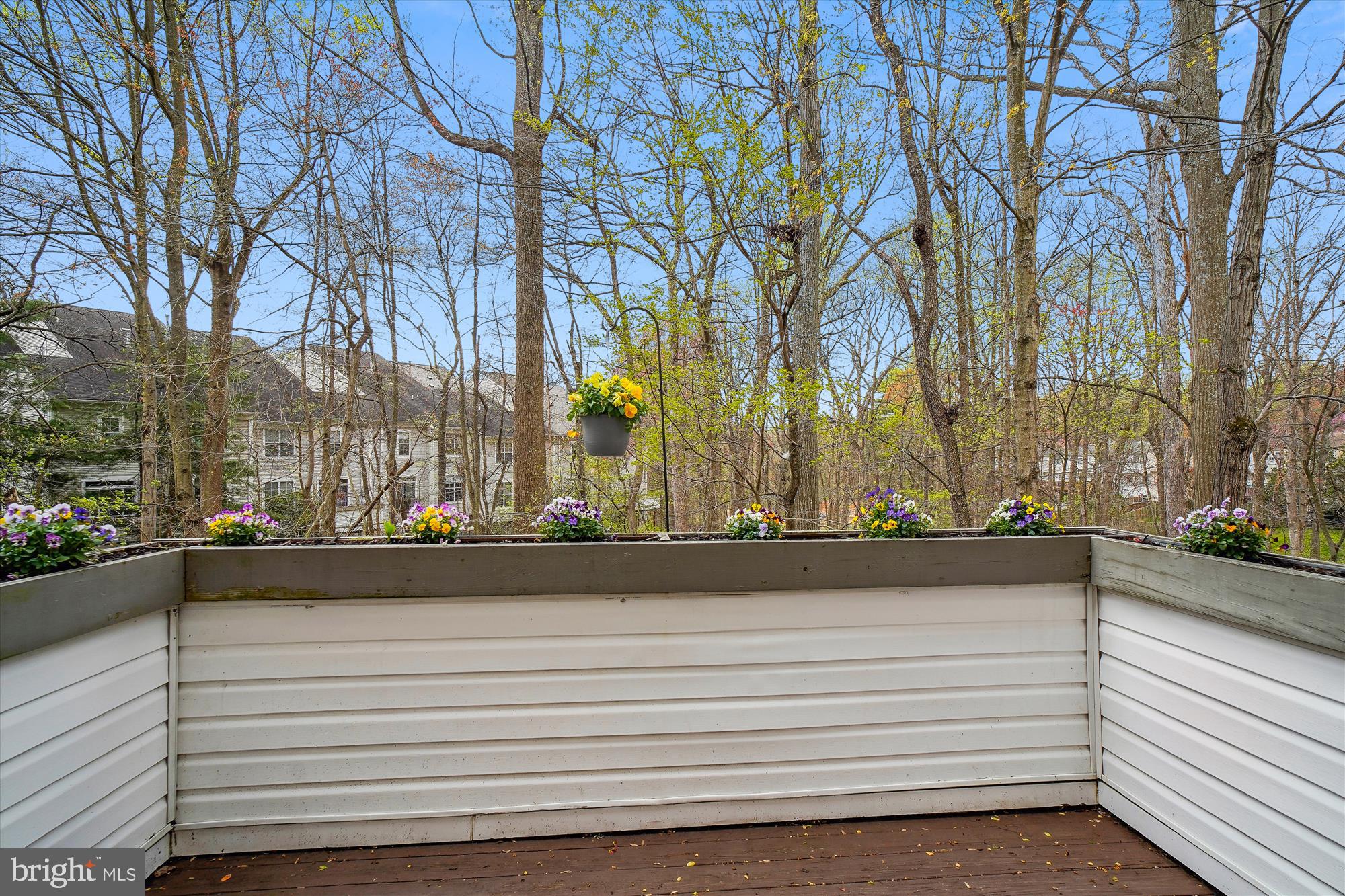 19730 Crested Iris Way