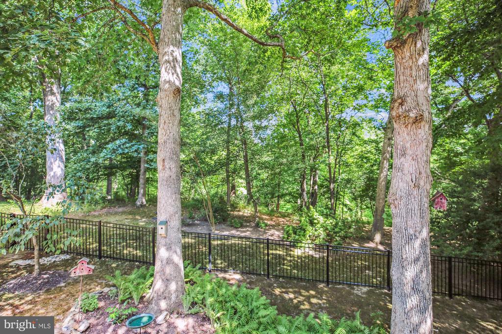 850 Still Creek Ln
