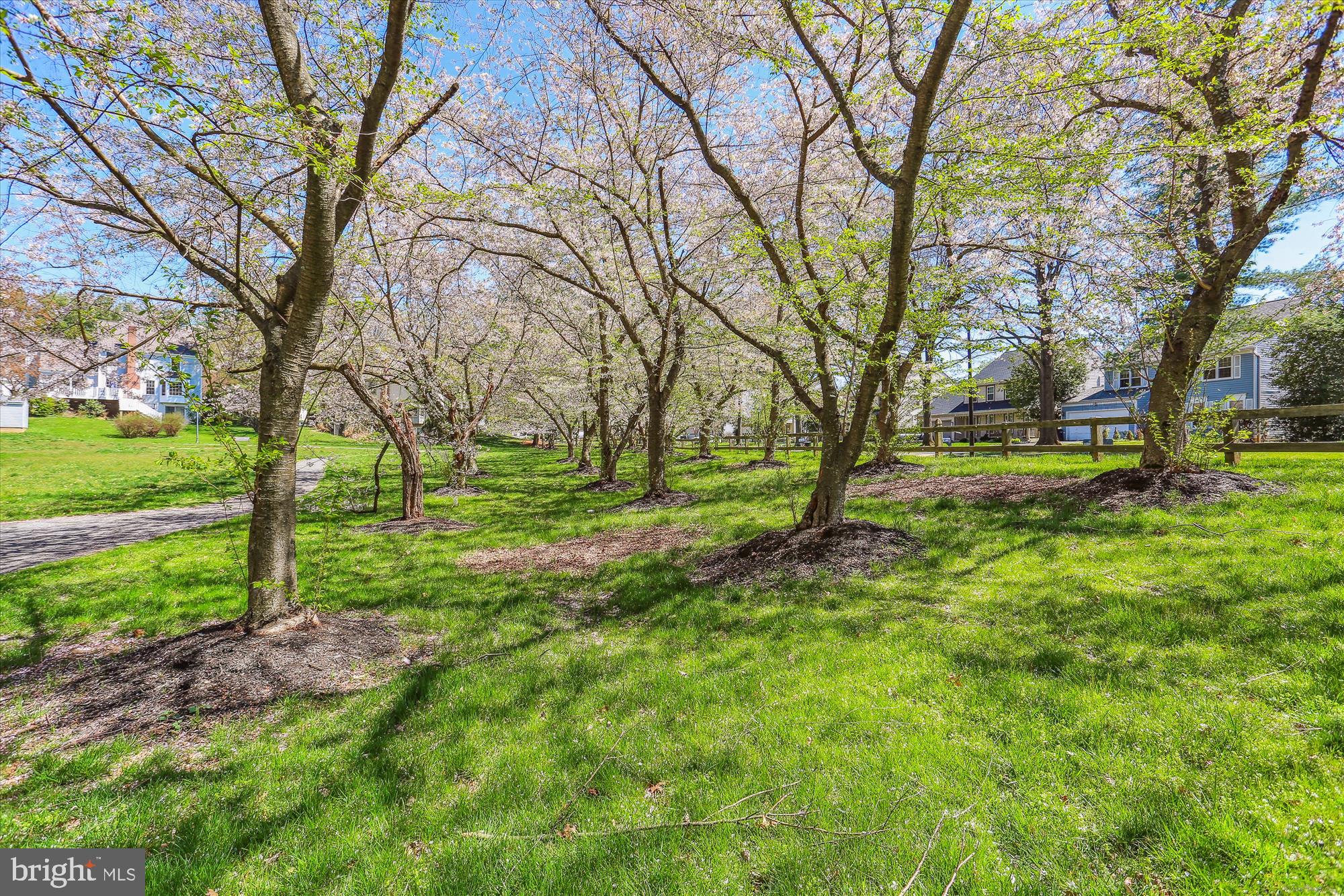 21 Cullinan Ct