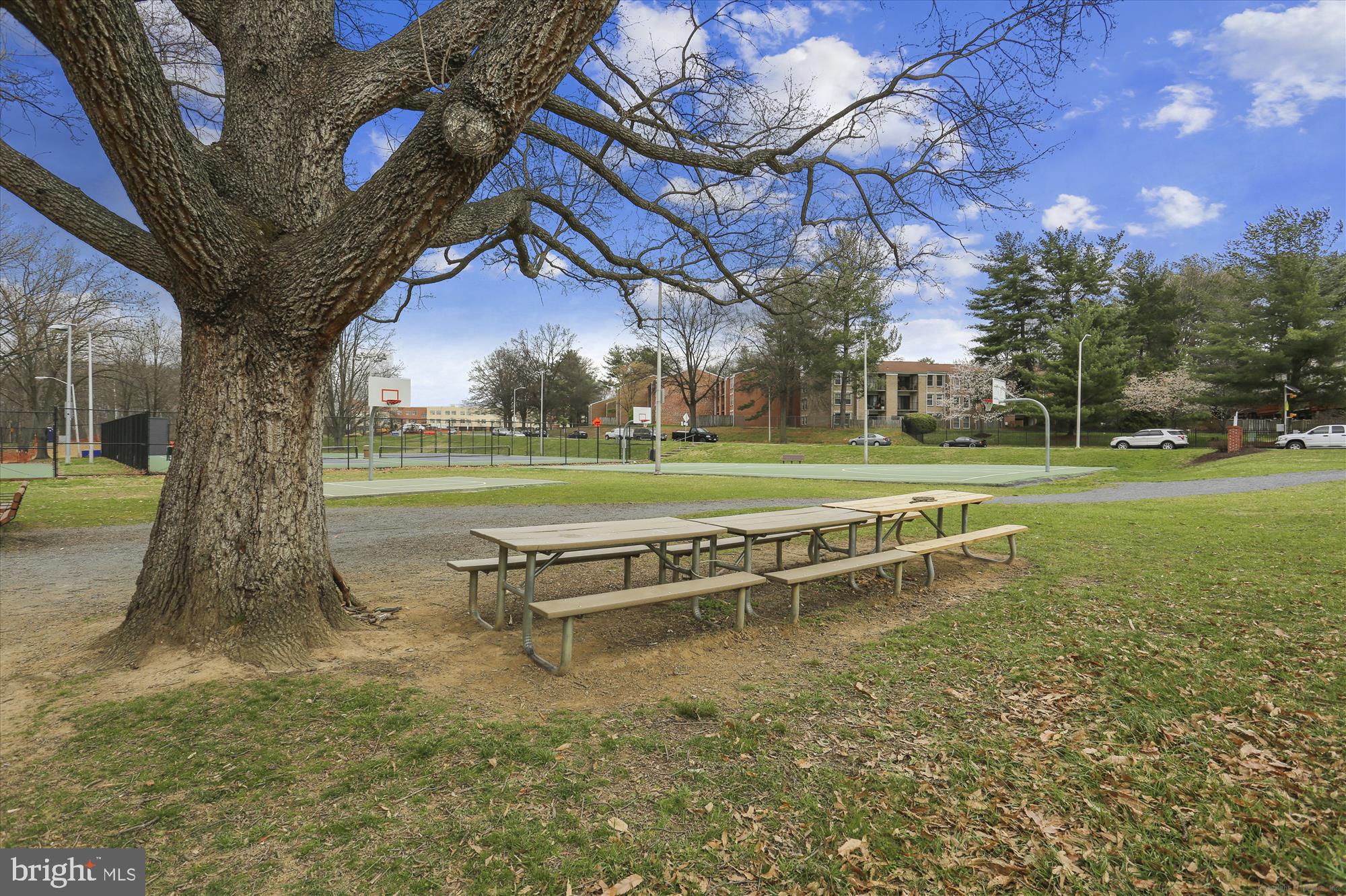 21 Cullinan Ct