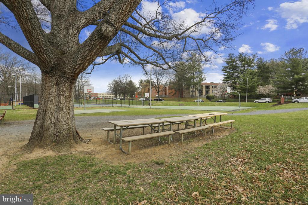 21 Cullinan Ct