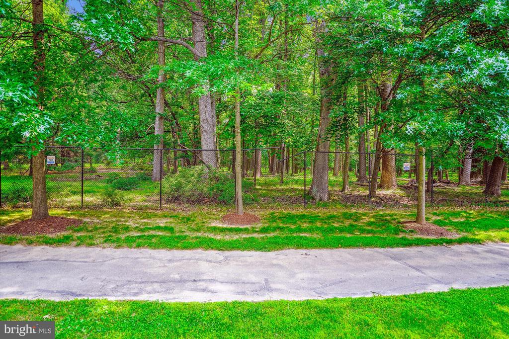 307 Winter Walk Dr