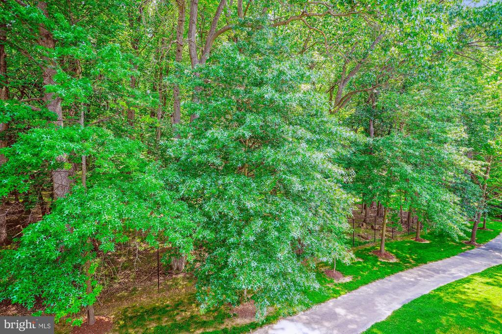 307 Winter Walk Dr