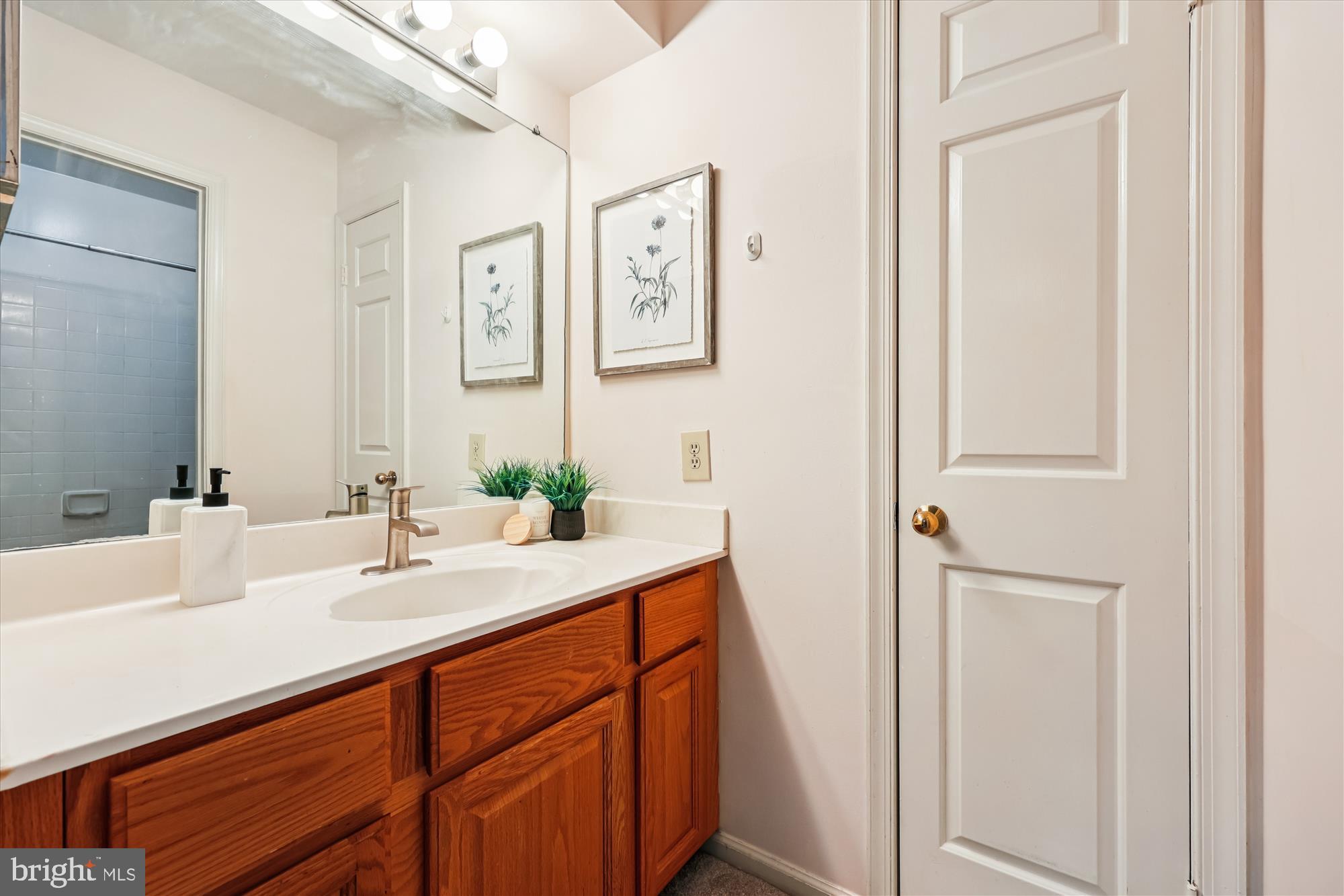 11617 PLEASANT MEADOW DRIVE