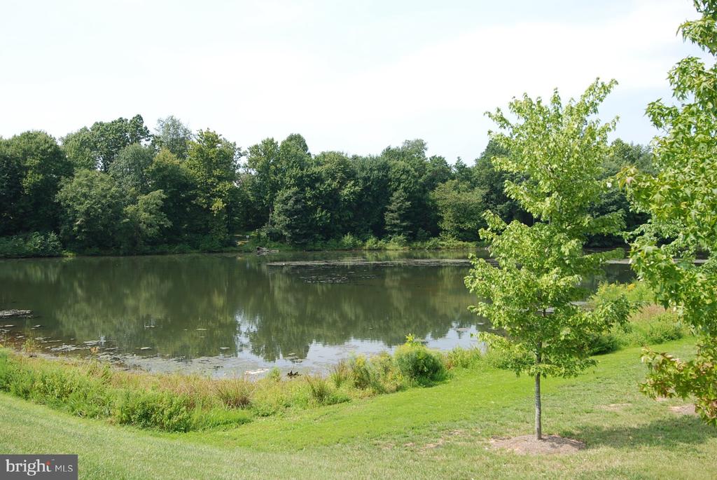 150 CHEVY CHASE STREET 205