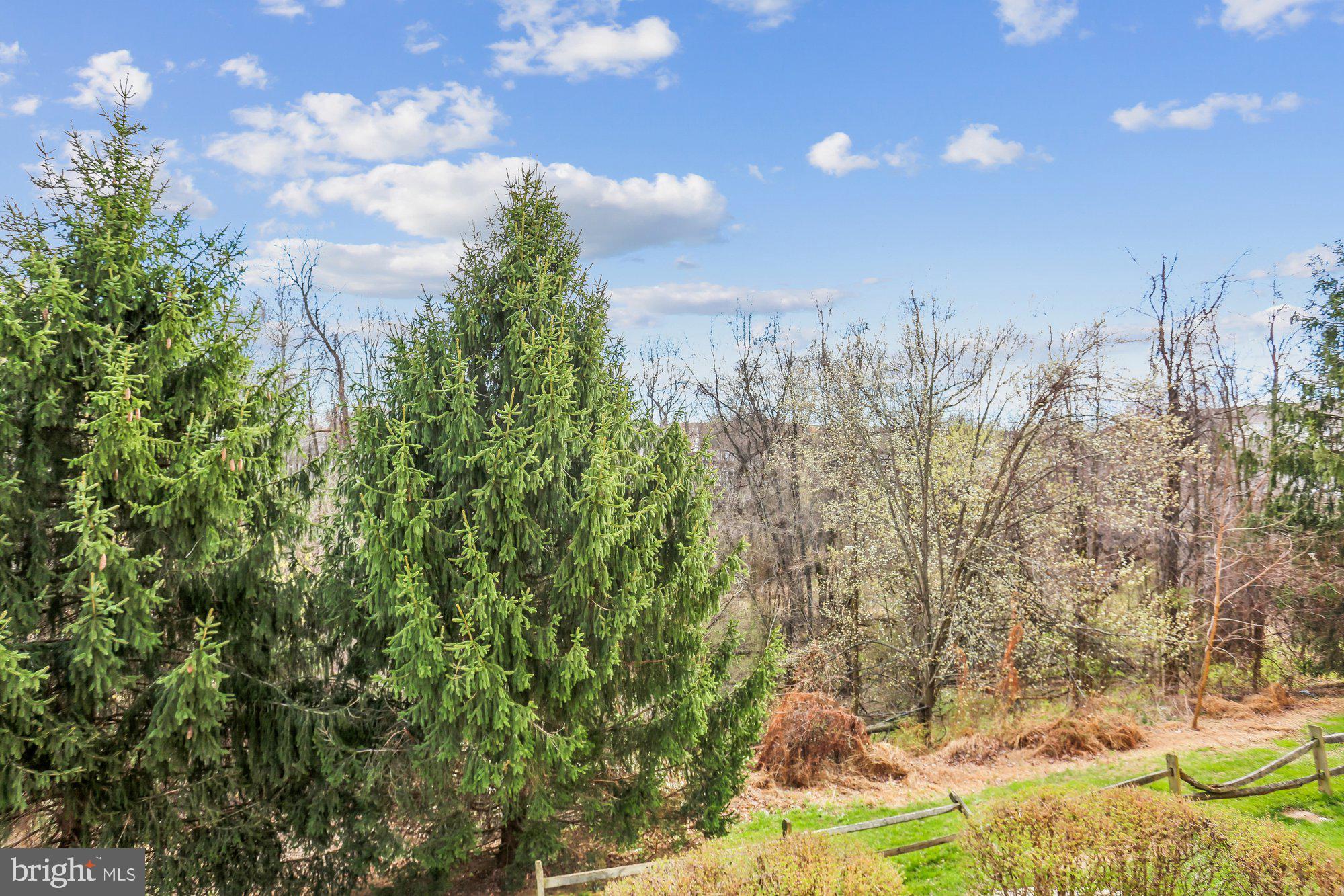 150 CHEVY CHASE STREET 205