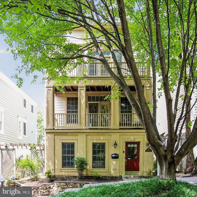 246 HART MEWS