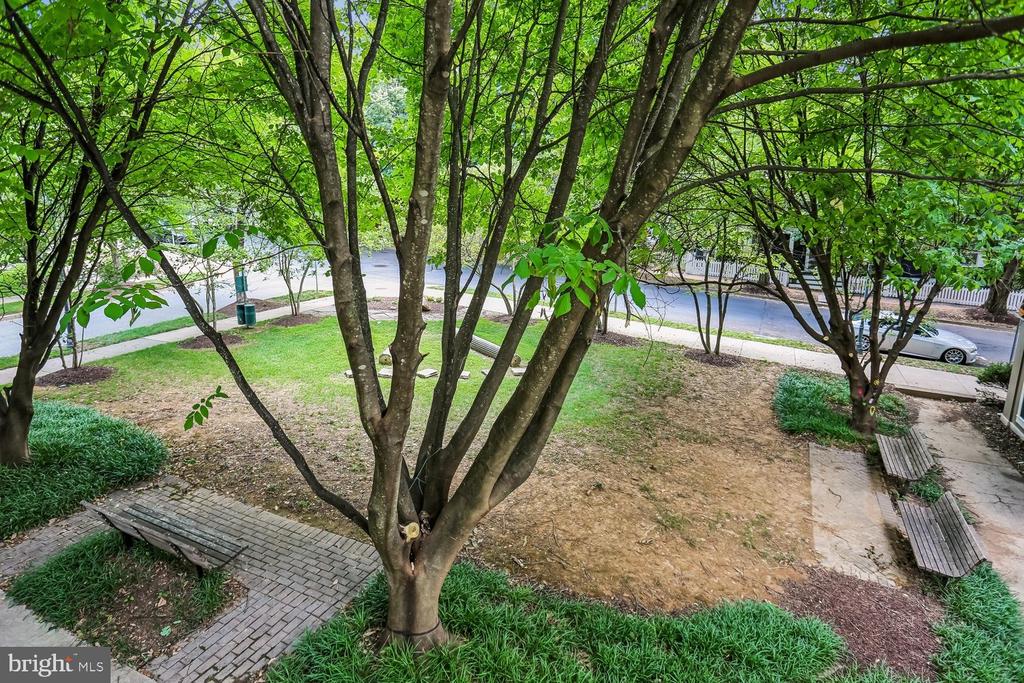 246 HART MEWS