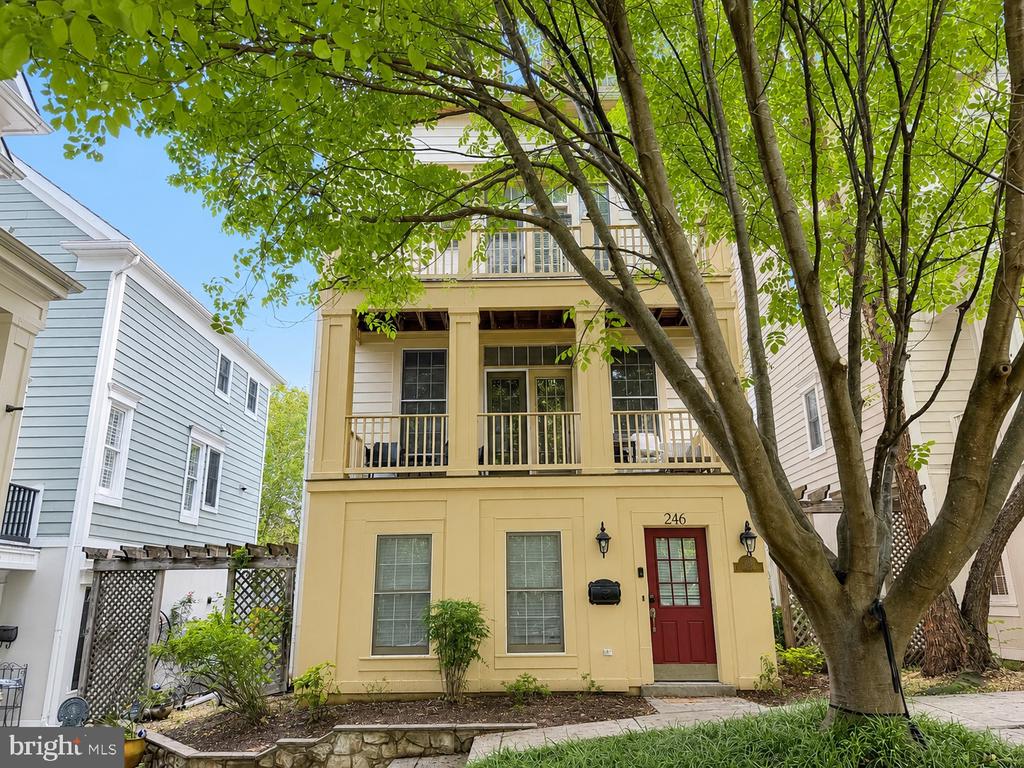 246 HART MEWS