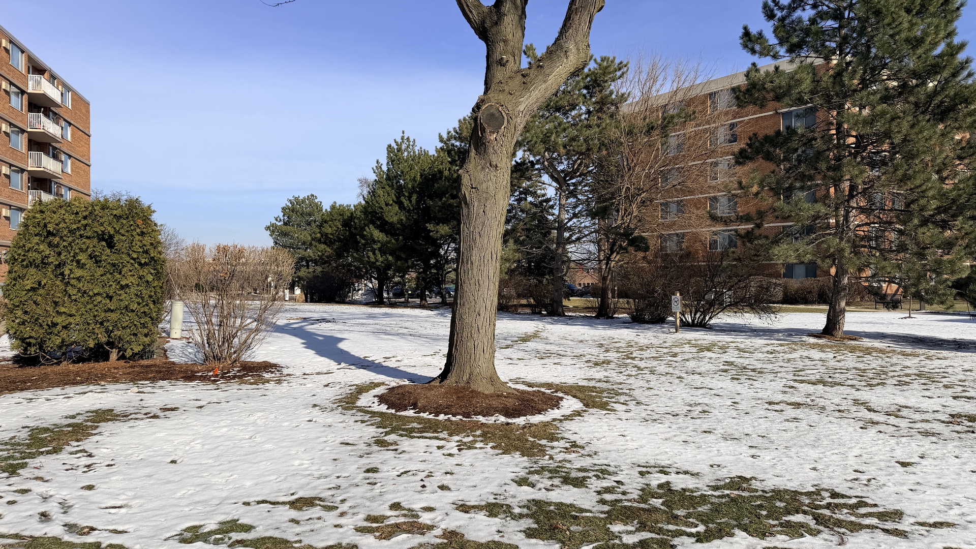 2211 S Stewart Avenue Unit: 3D