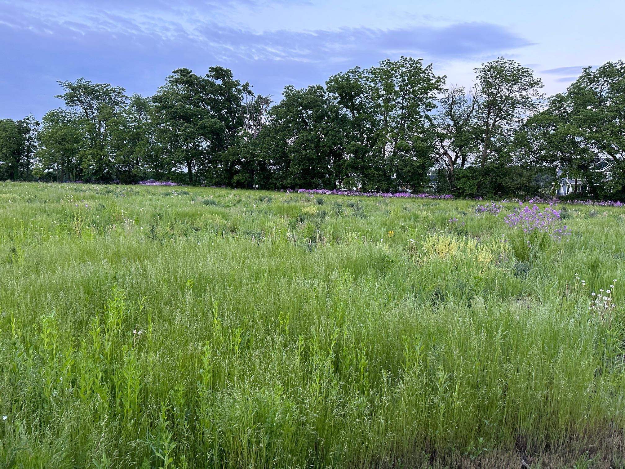 Lot 83 Meadowwood Drive