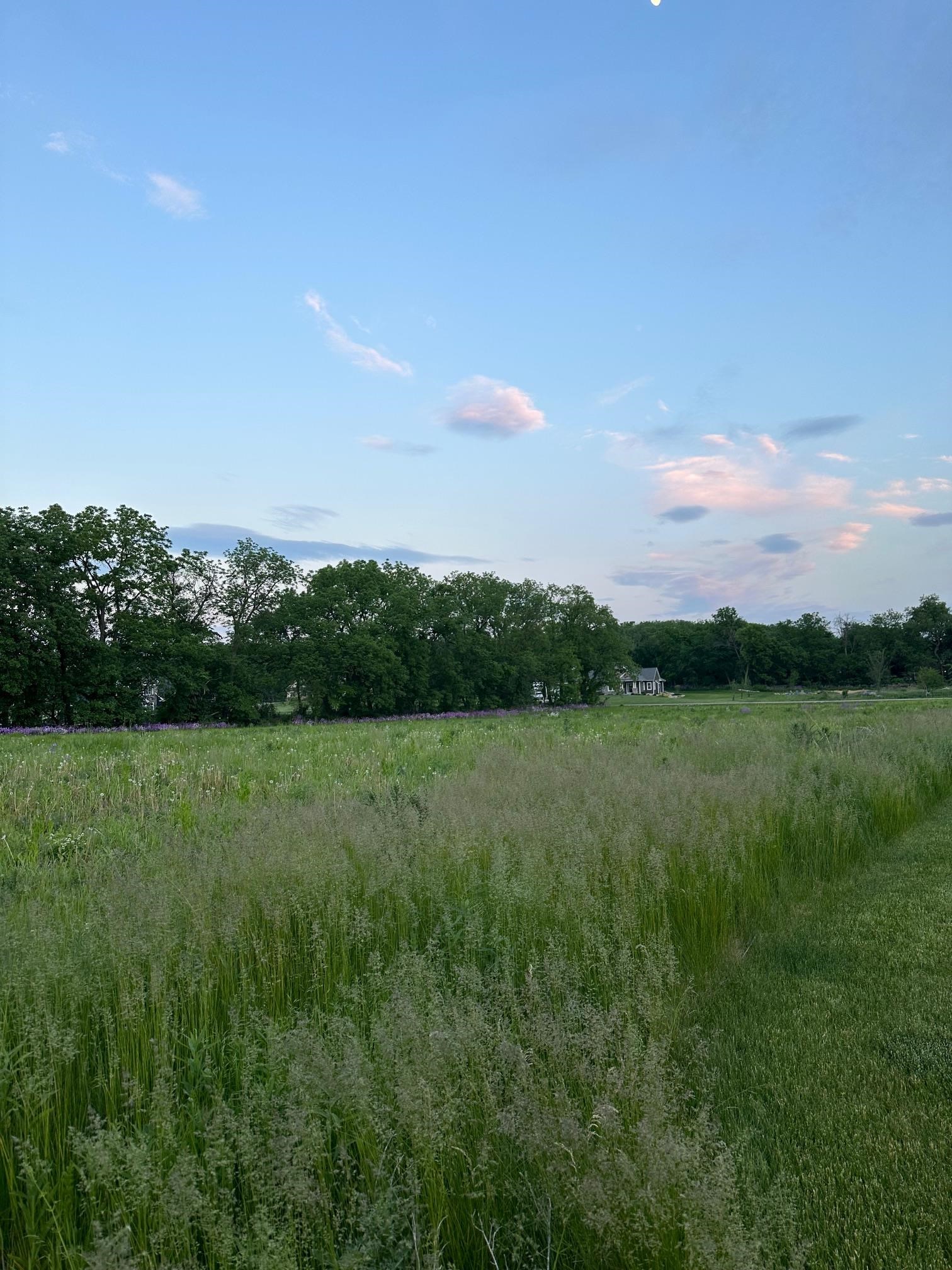 Lot 83 Meadowwood Drive