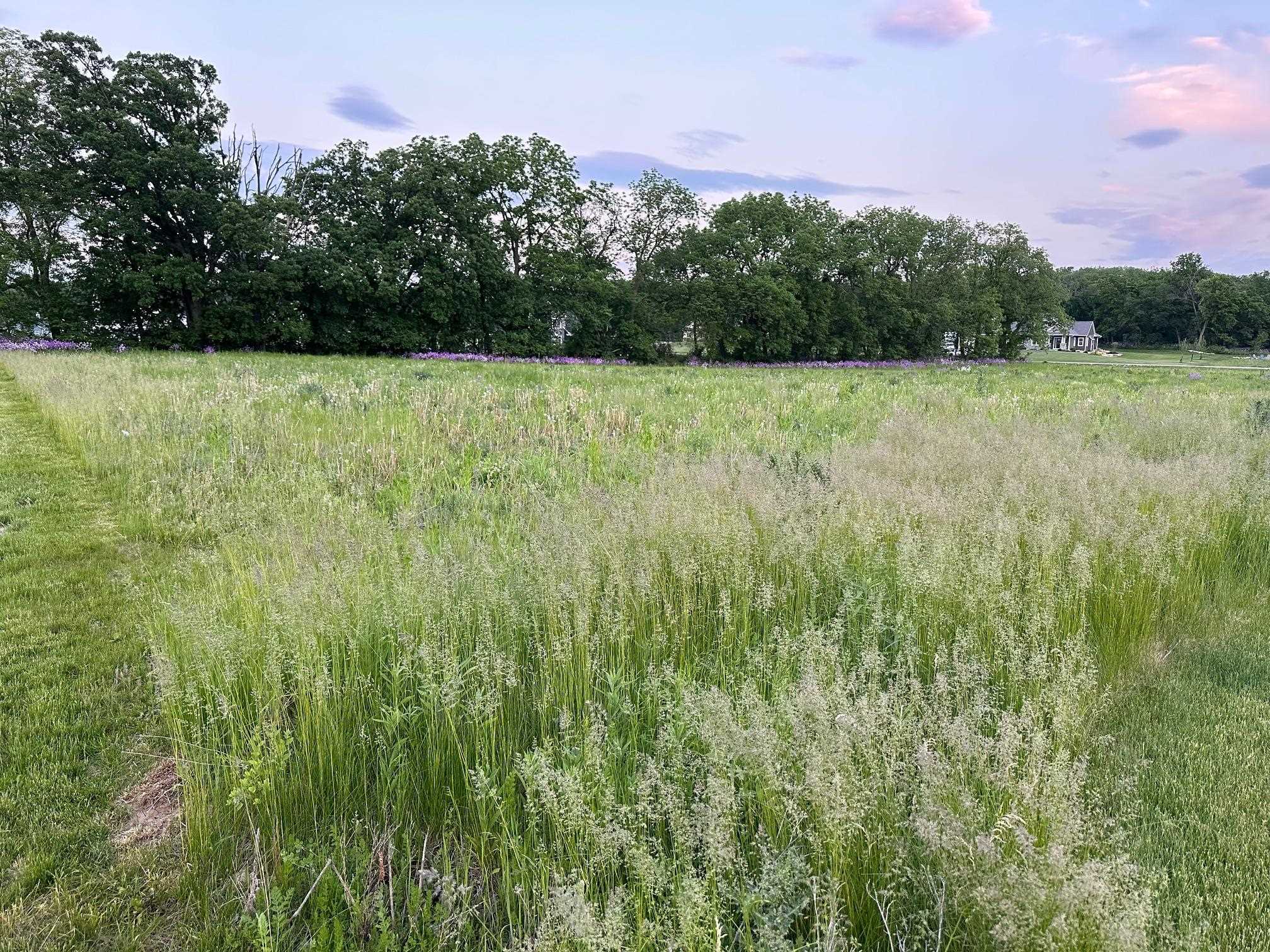 Lot 83 Meadowwood Drive