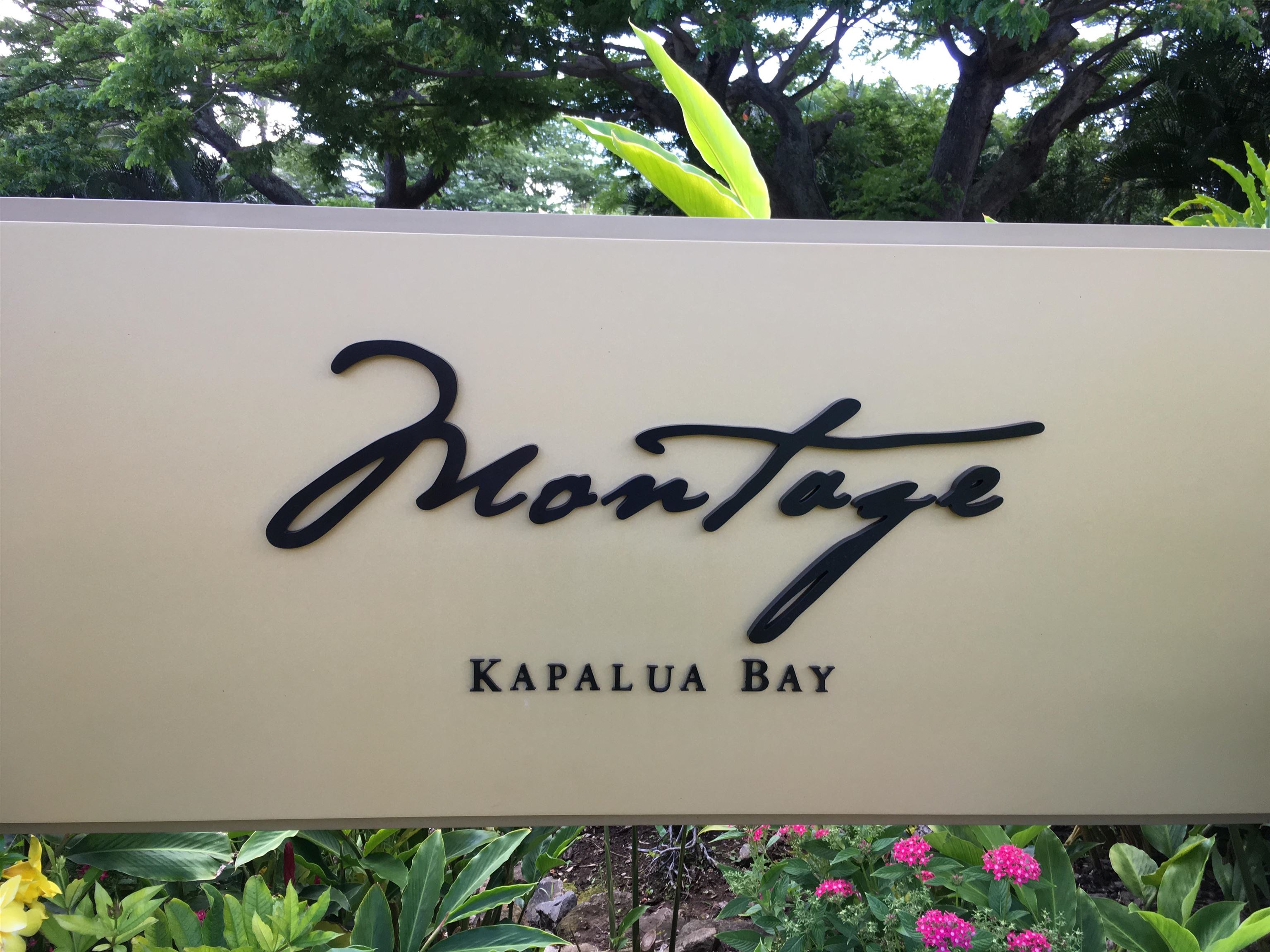 1 Bay Dr Unit: 4504