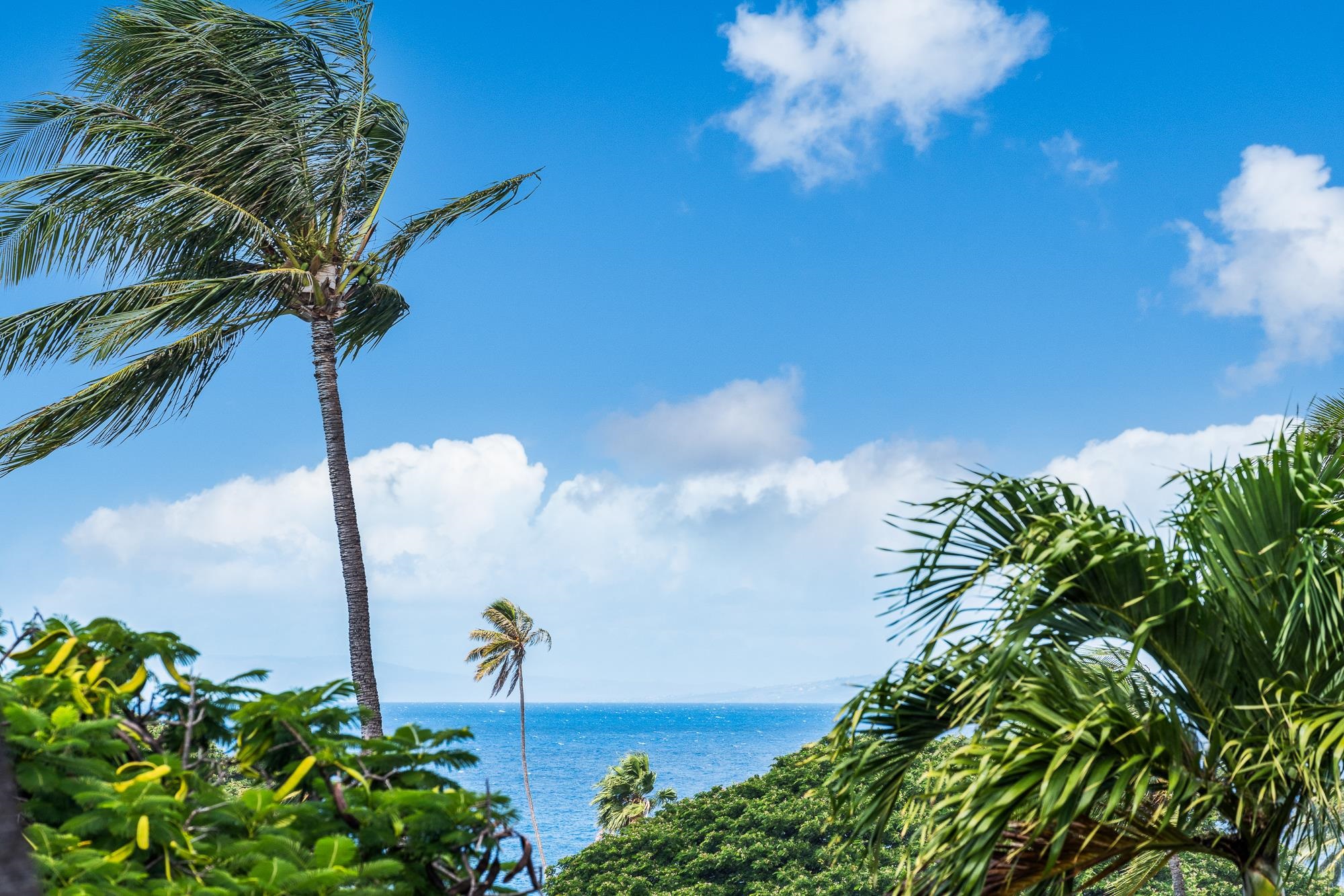 2661 KEKAA Dr Unit: E204