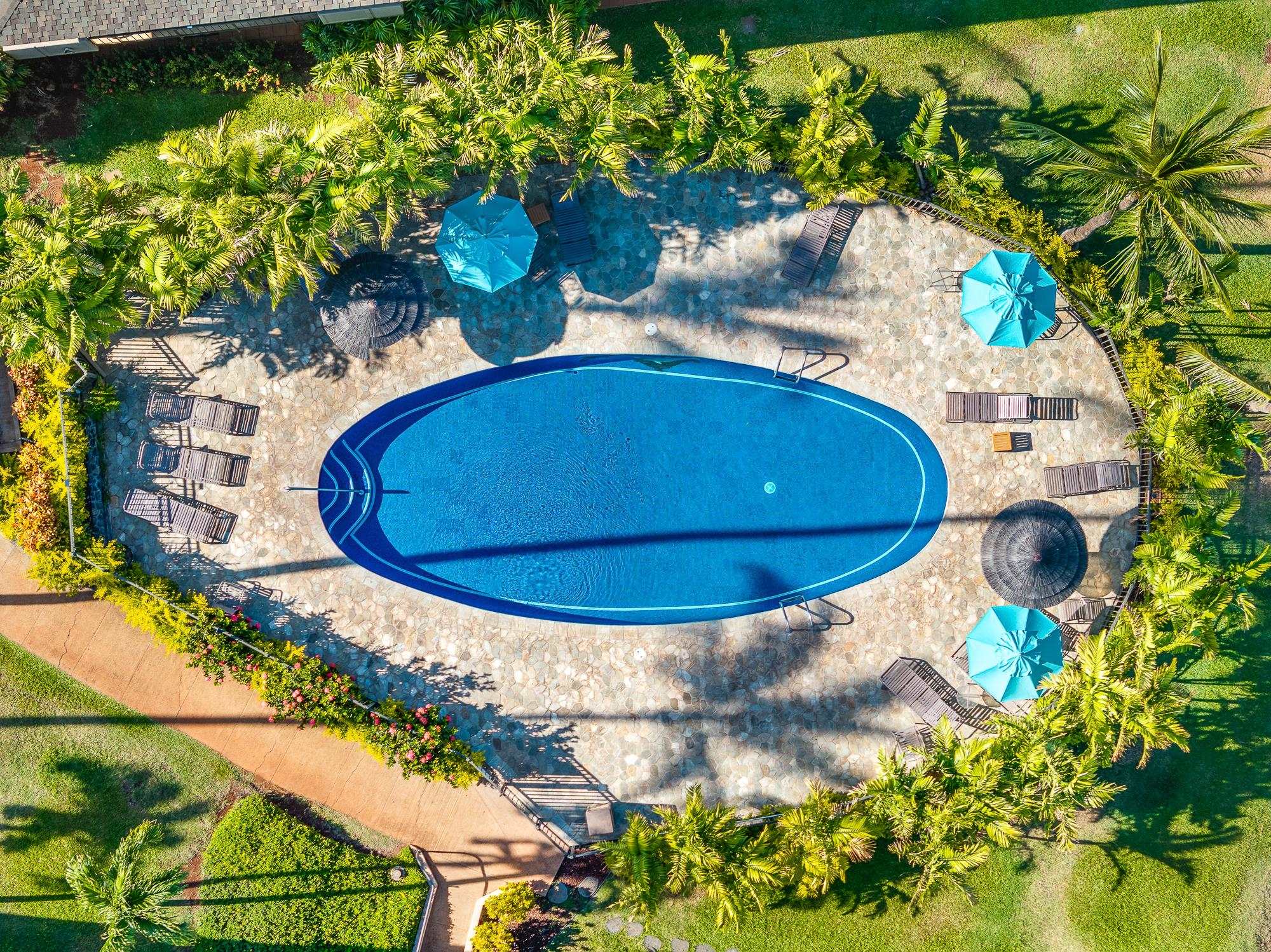 2661 KEKAA Dr Unit: E204