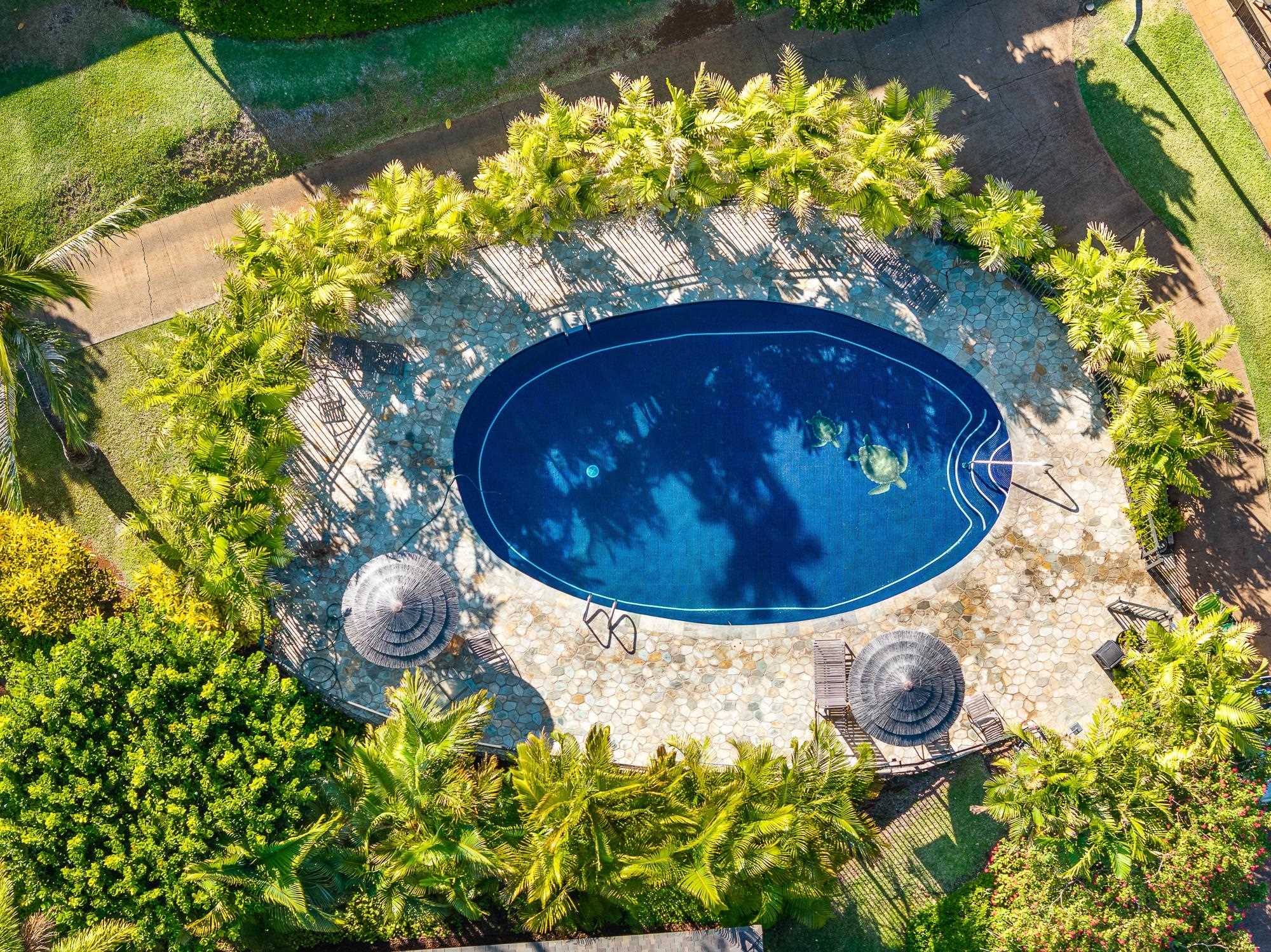 2661 KEKAA Dr Unit: E204