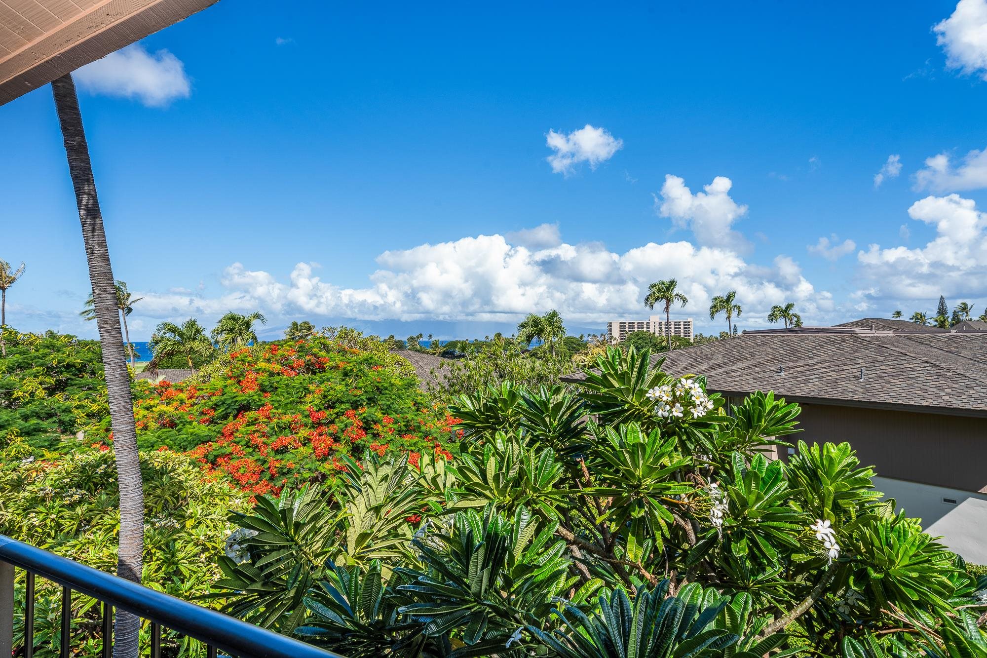 2661 KEKAA Dr Unit: E204