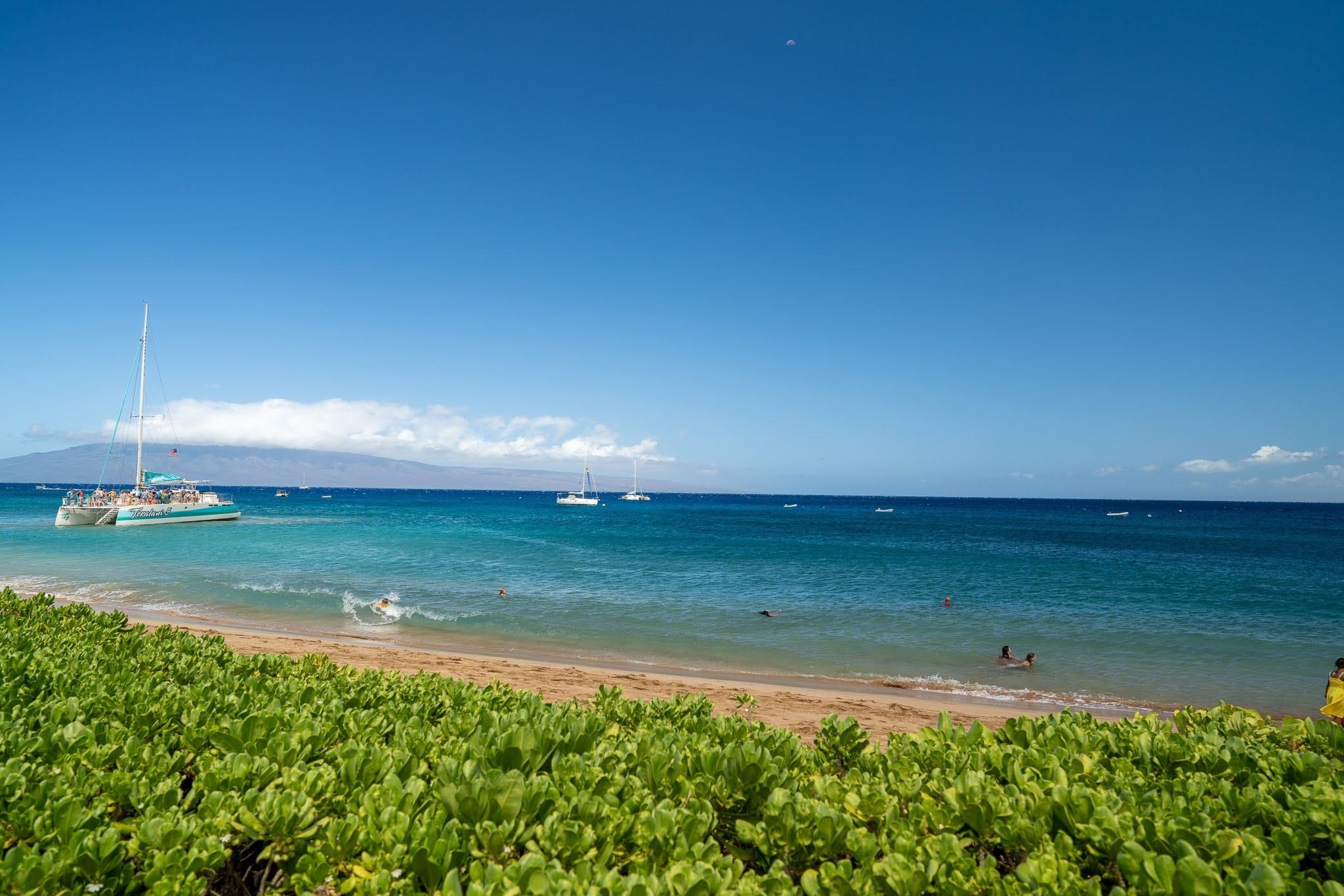 2481 Kaanapali Pkwy Unit: 1115