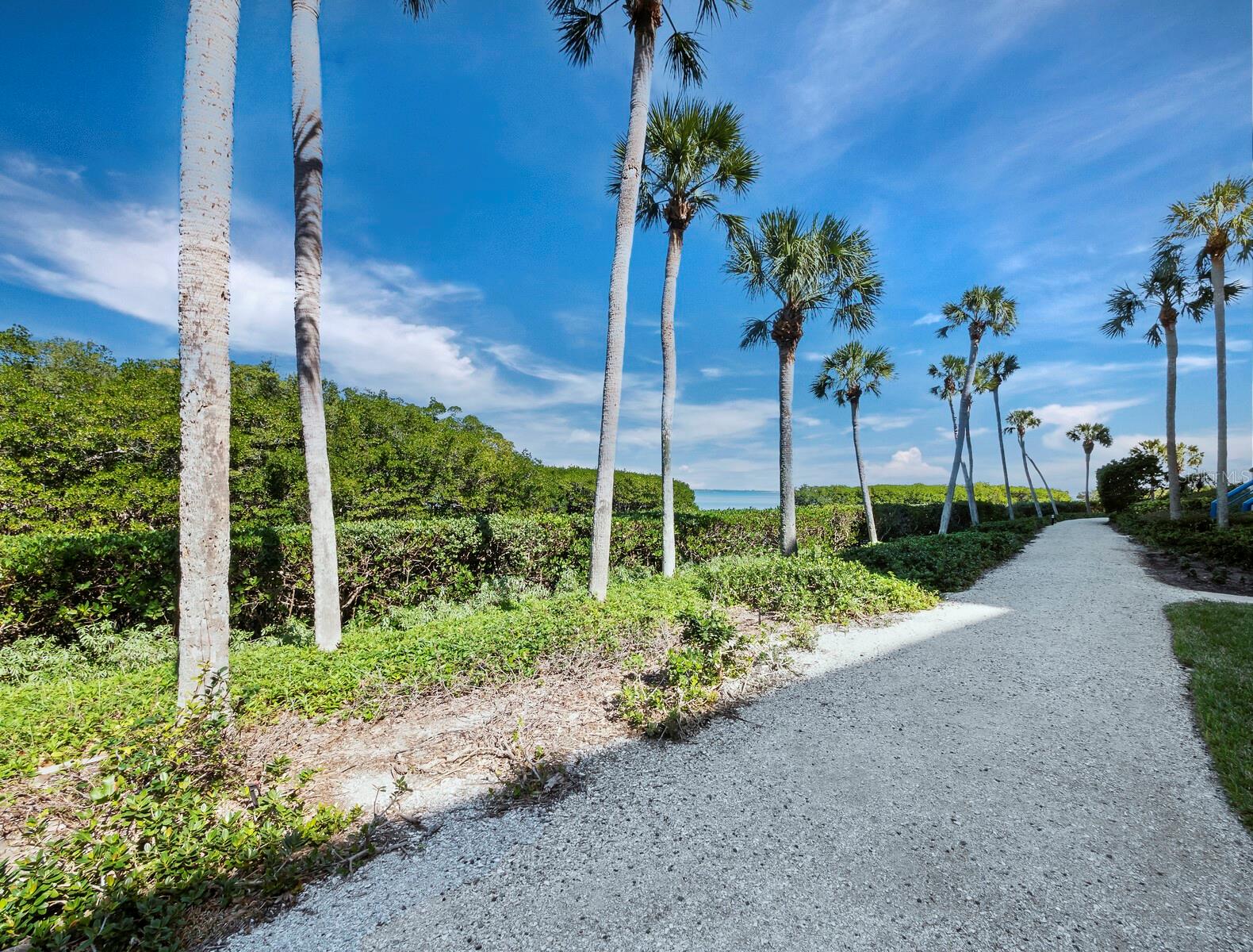 2110 HARBOURSIDE DR #514