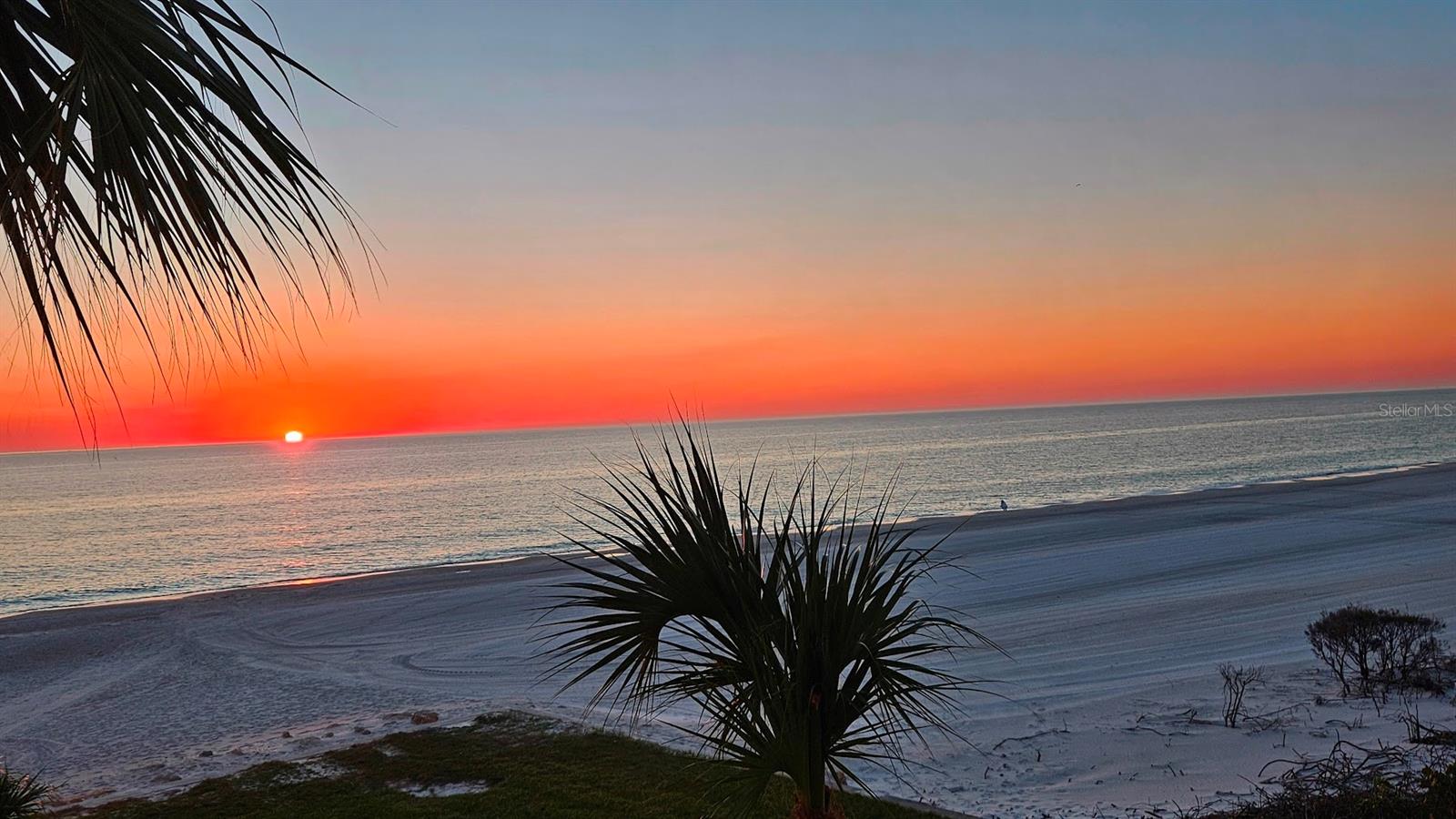 2301 GULF OF MEXICO DR #36N