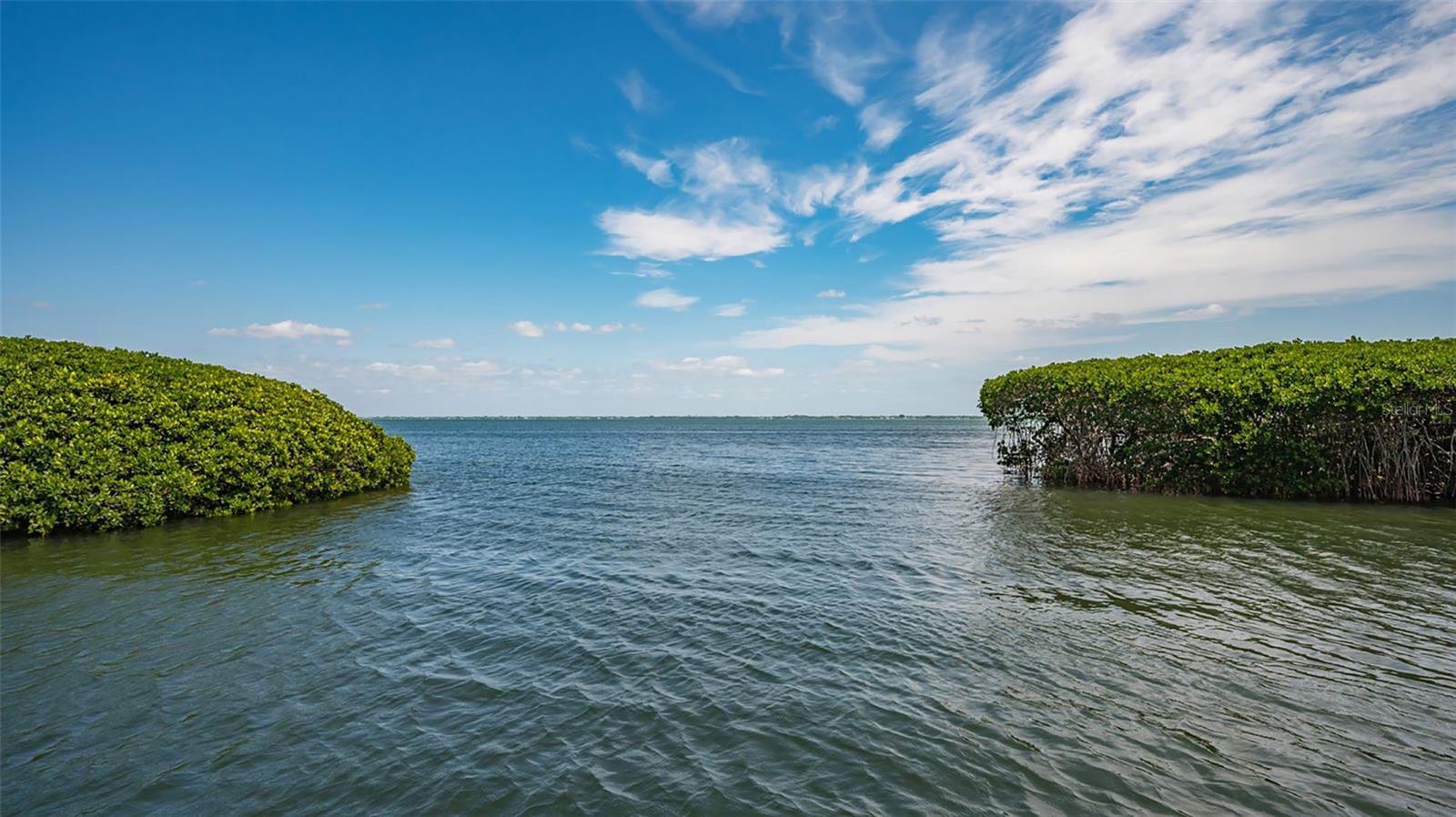 2110 HARBOURSIDE DR #536